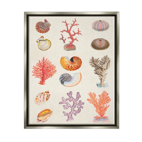 Stupell Industries Various Sea Life Nautical Latin Study Graphic Art Luster Gray Floating Framed Canvas Print Wall Art, Design by Vision Studio
