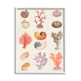 thumbnail image 1 of Stupell Industries Various Sea Life Nautical Latin Study Graphic Art White Framed Art Print Wall Art, Design by Vision Studio, 1 of 7