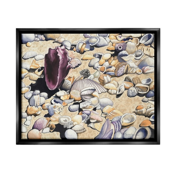 Stupell Industries Various Seashells on Coast Landscape Painting Black Floater Framed Canvas Art Print Wall Art, 21 x 17