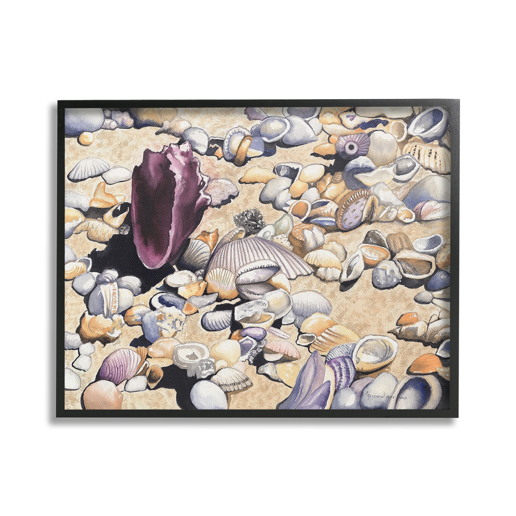 Stupell Industries Various Seashells on Coast Landscape Painting Black Framed Art Print Wall Art, 20 x 16