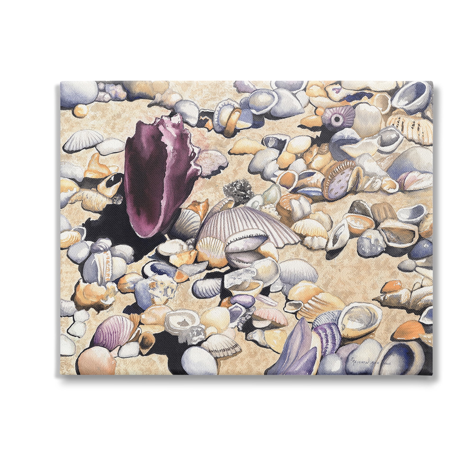 Stupell Industries Various Seashells on Coast Landscape Painting Gallery Wrapped Canvas Art Print Wall Art, 30 x 24