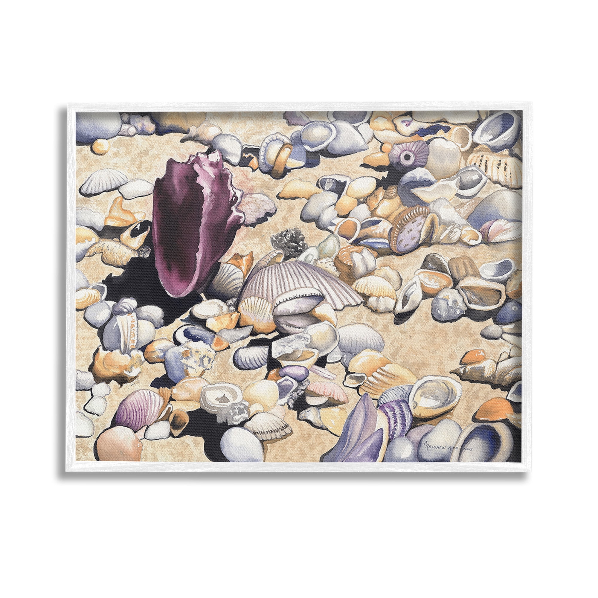 Stupell Industries Various Seashells on Coast Landscape Painting White Framed Art Print Wall Art, 14 x 11