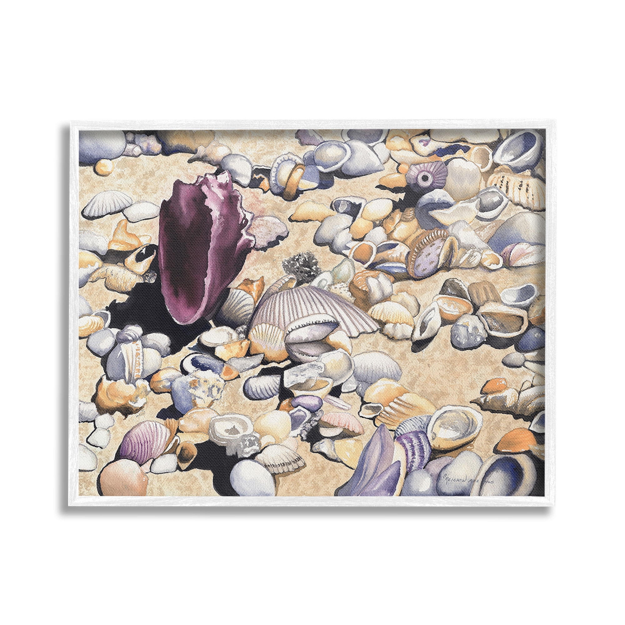 Stupell Industries Various Seashells on Coast Landscape Painting White Framed Art Print Wall Art, 20 x 16