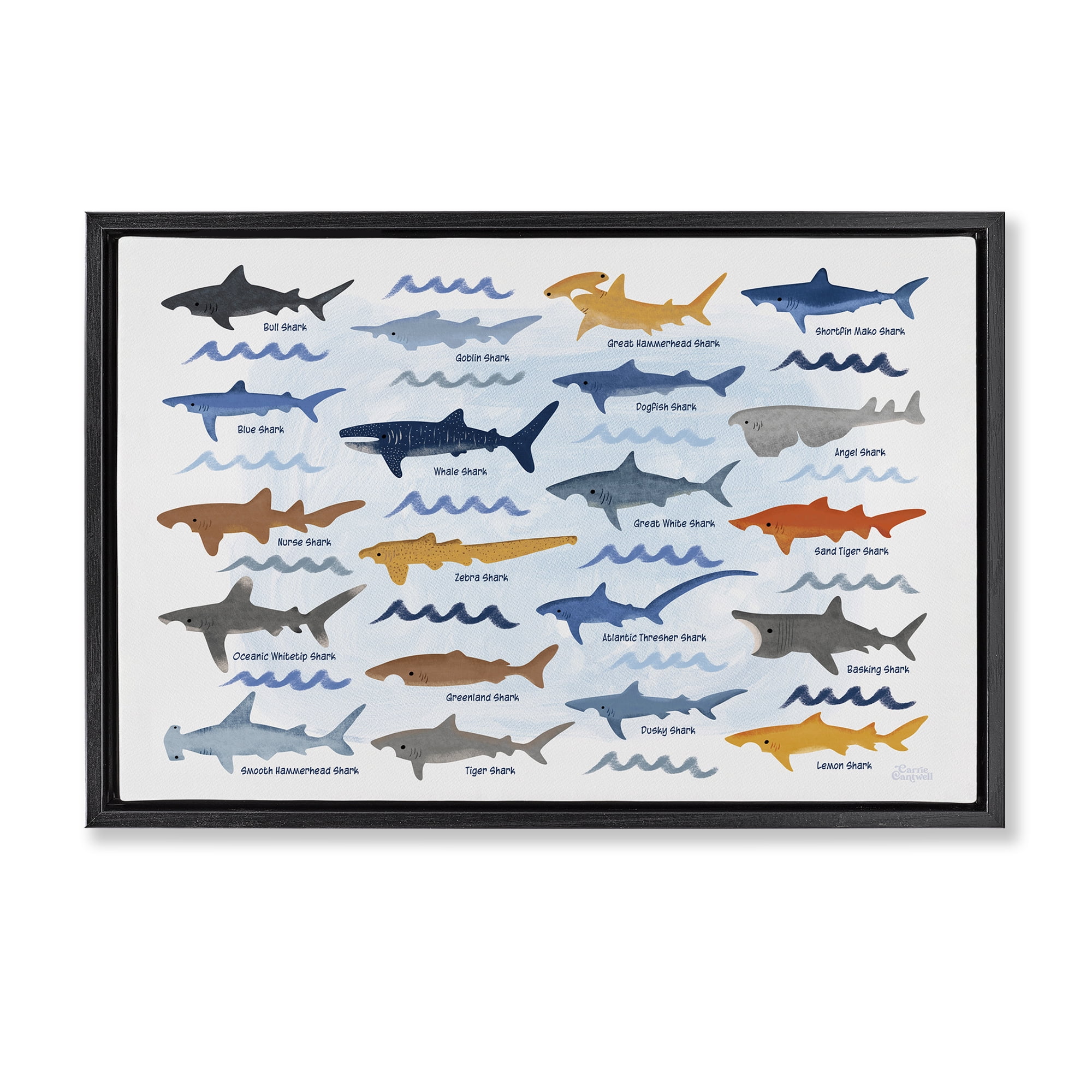 Stupell Industries Various Shark Breeds Coastal Painting Black Floater Framed Art Print Wall Art, 25 x 17