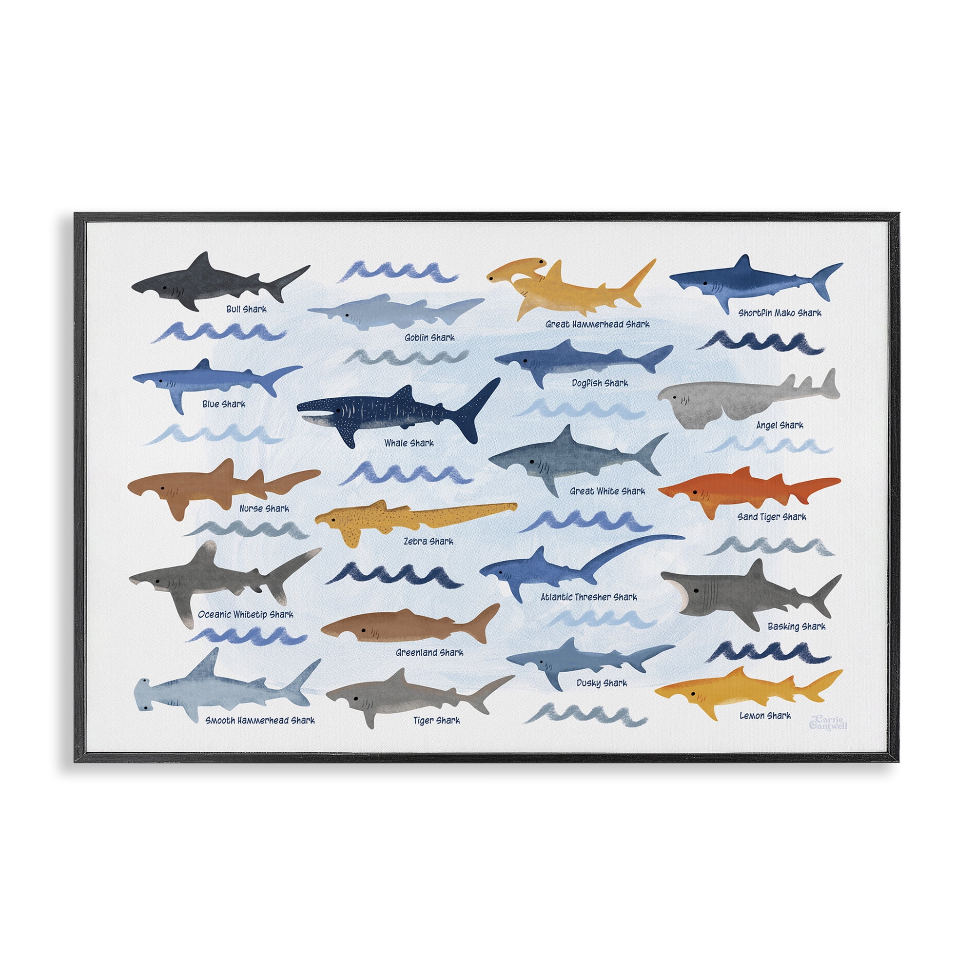 Stupell Industries Various Shark Breeds Coastal Painting Black Framed Art Print Wall Art, 30 x 20