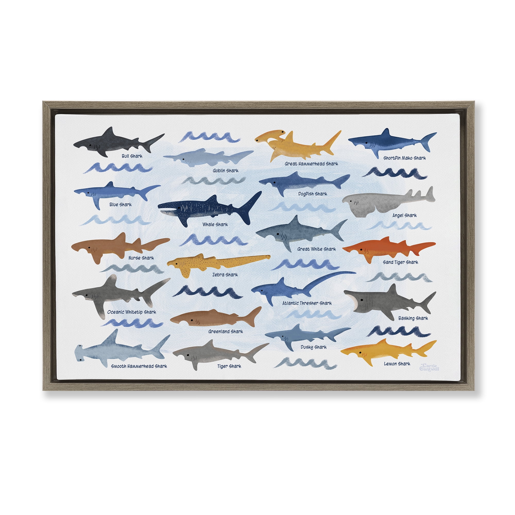 Stupell Industries Various Shark Breeds Coastal Painting Brown Floater Framed Art Print Wall Art, 31 x 21
