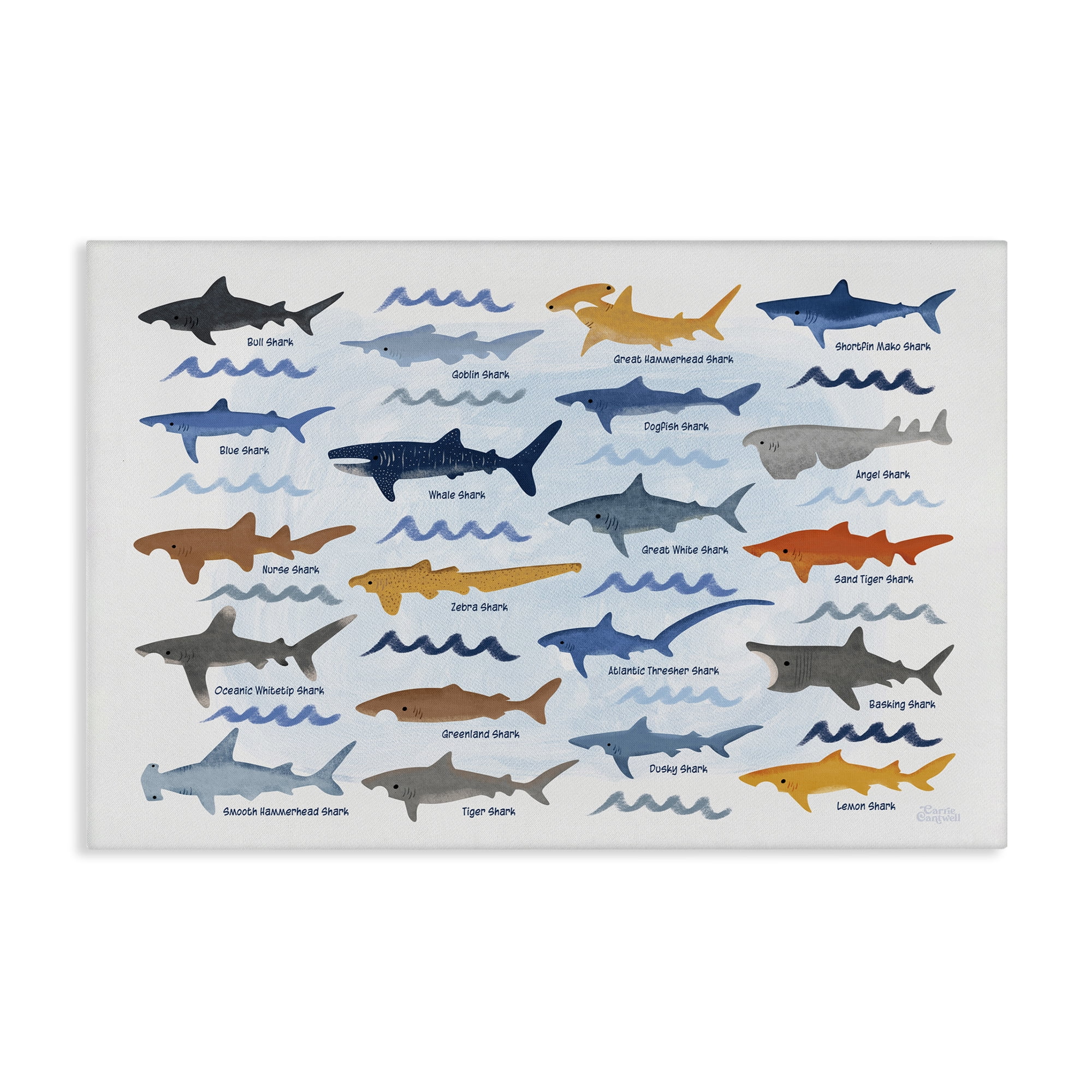 Stupell Industries Various Shark Breeds Coastal Painting Gallery Wrapped Canvas Art Print Wall Art, 30 x 20