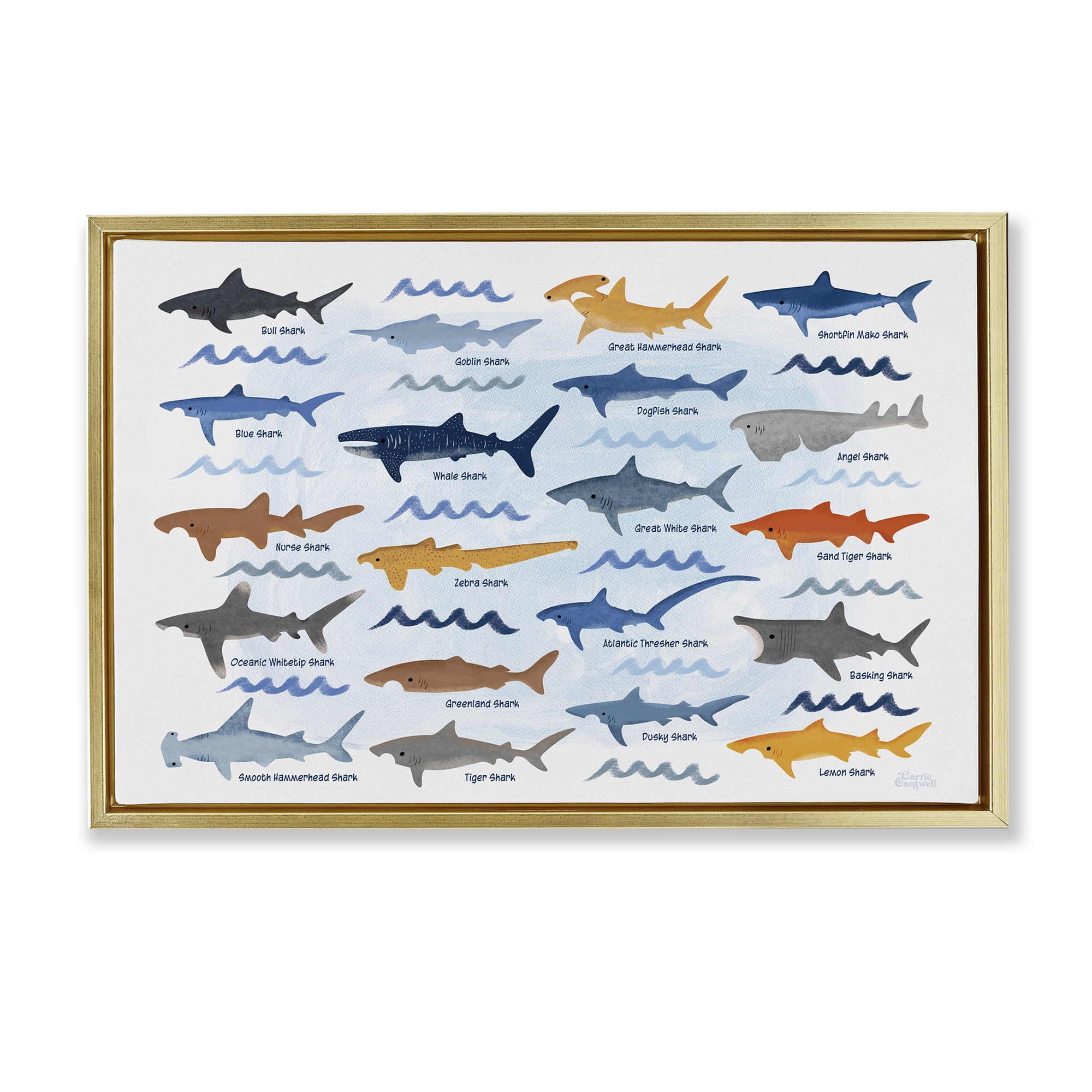 Stupell Industries Various Shark Breeds Coastal Painting Gold Floater Framed Art Print Wall Art, 25 x 17