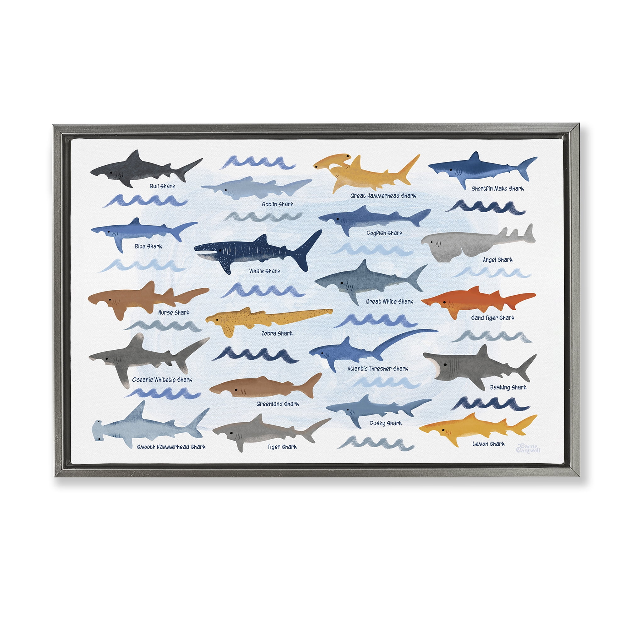 Stupell Industries Various Shark Breeds Coastal Painting Gray Floater Framed Art Print Wall Art, 25 x 17