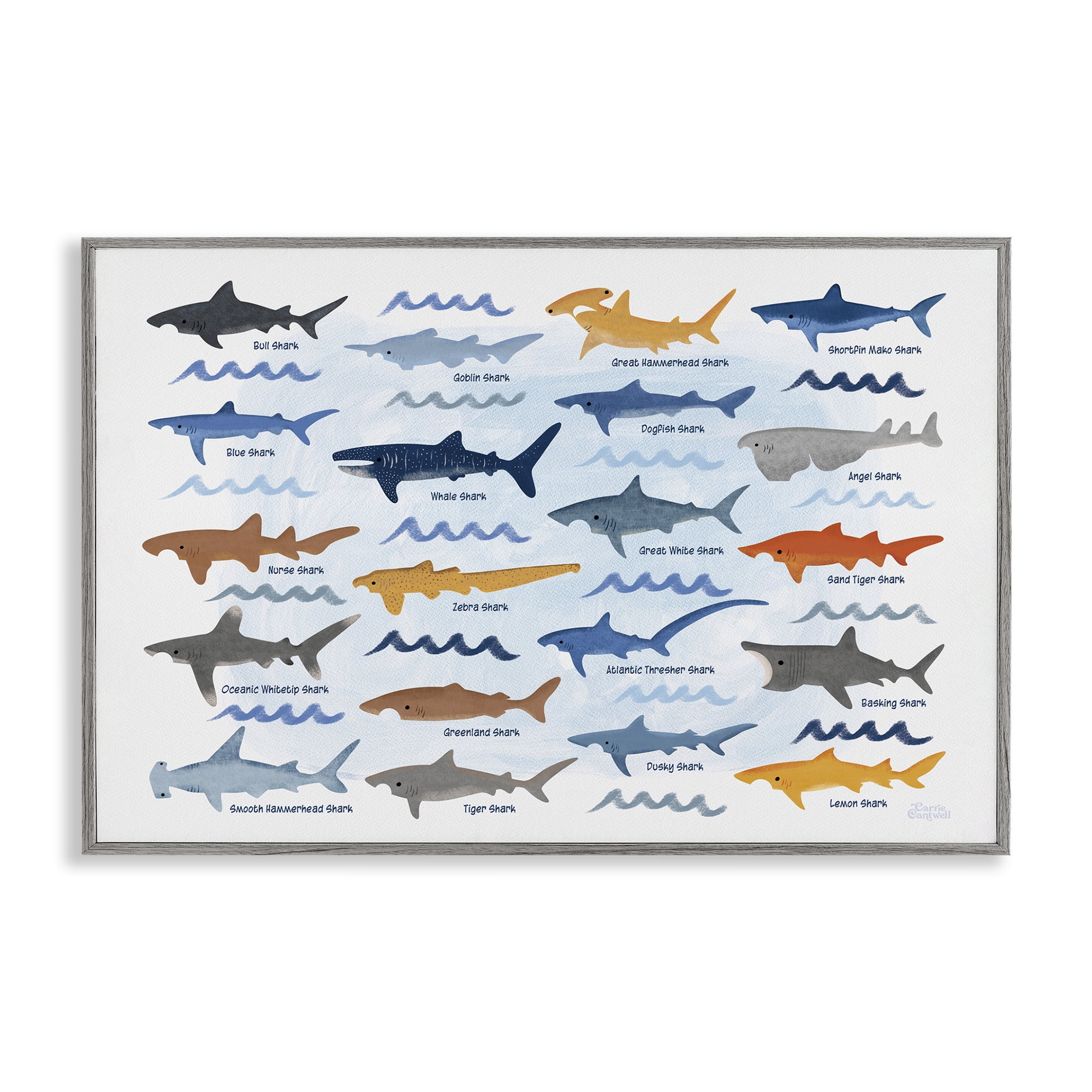 Stupell Industries Various Shark Breeds Coastal Painting Gray Framed Art Print Wall Art, 24 x 16
