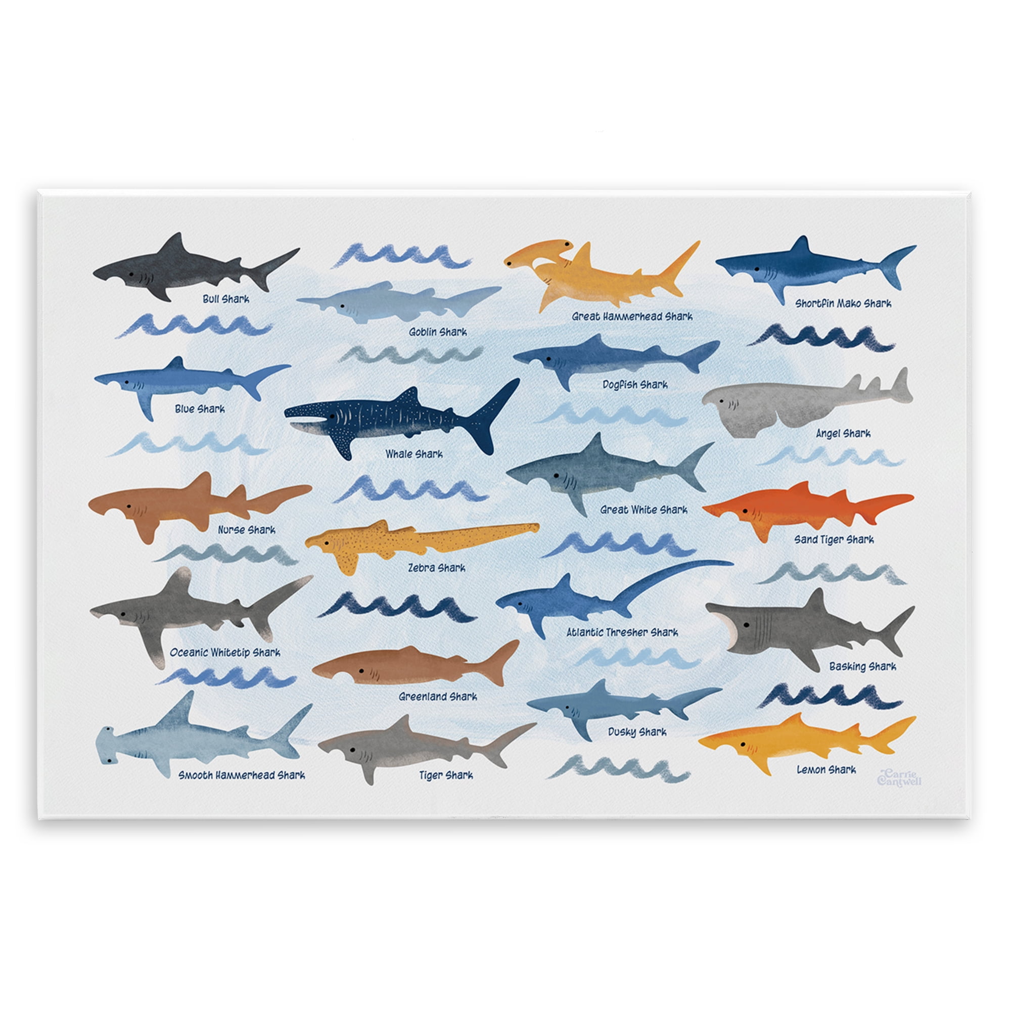 Stupell Industries Various Shark Breeds Coastal Painting Unframed Art Print Wall Art, 19 x 13