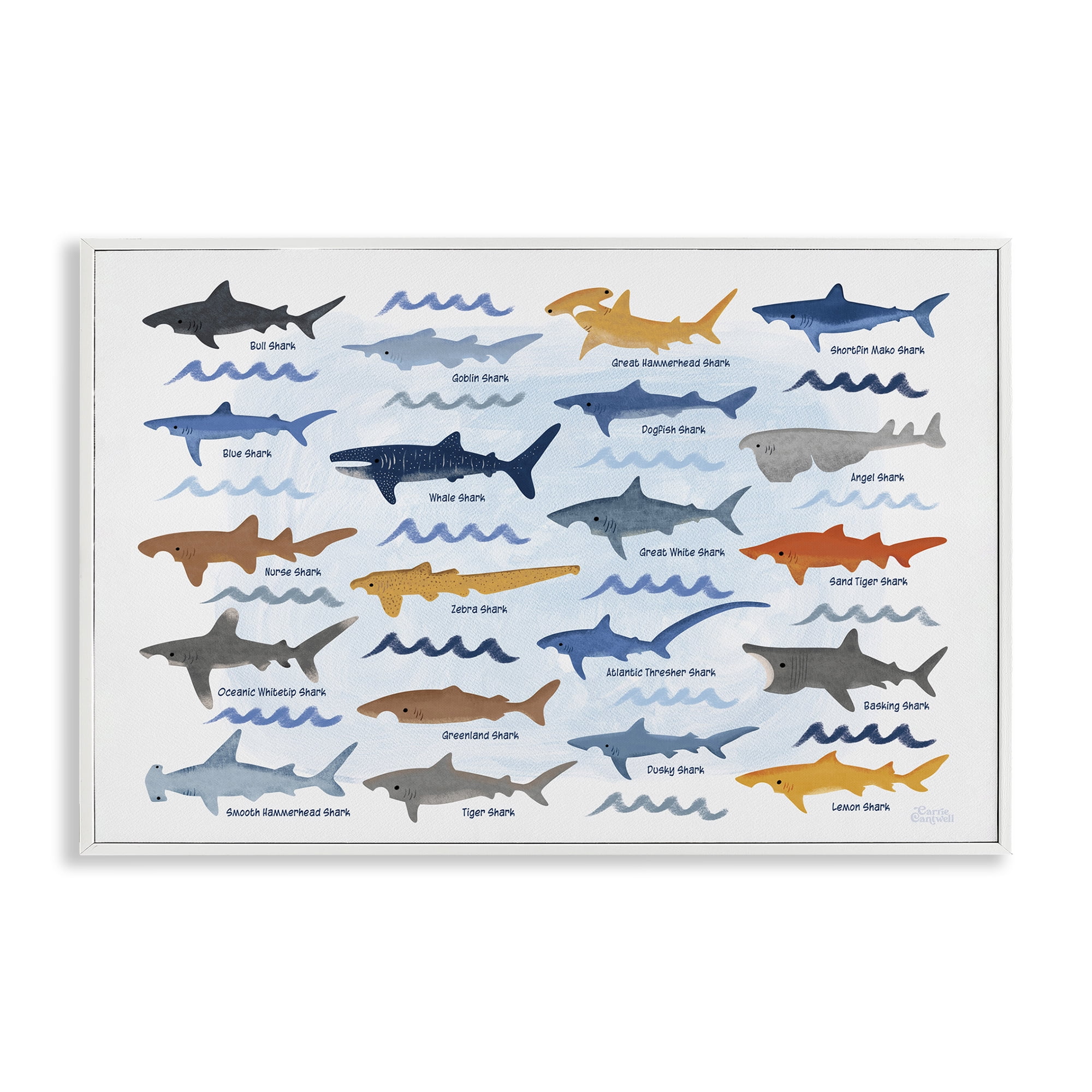 Stupell Industries Various Shark Breeds Coastal Painting White Framed Art Print Wall Art, 30 x 20