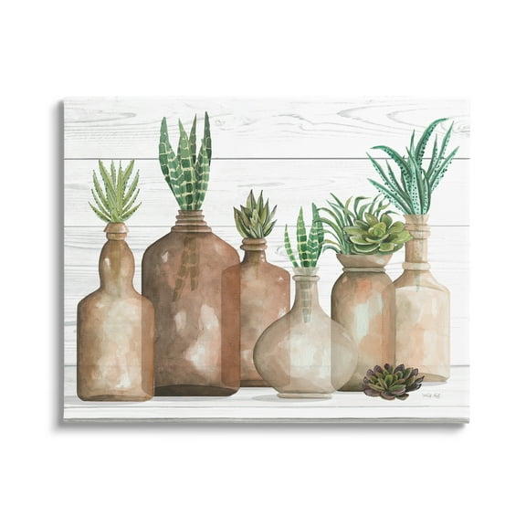 Stupell Industries Various Succulents Plants Vases Jars Striped Leaves Graphic Art Gallery Wrapped Canvas Print Wall Art, Design by Cindy Jacobs