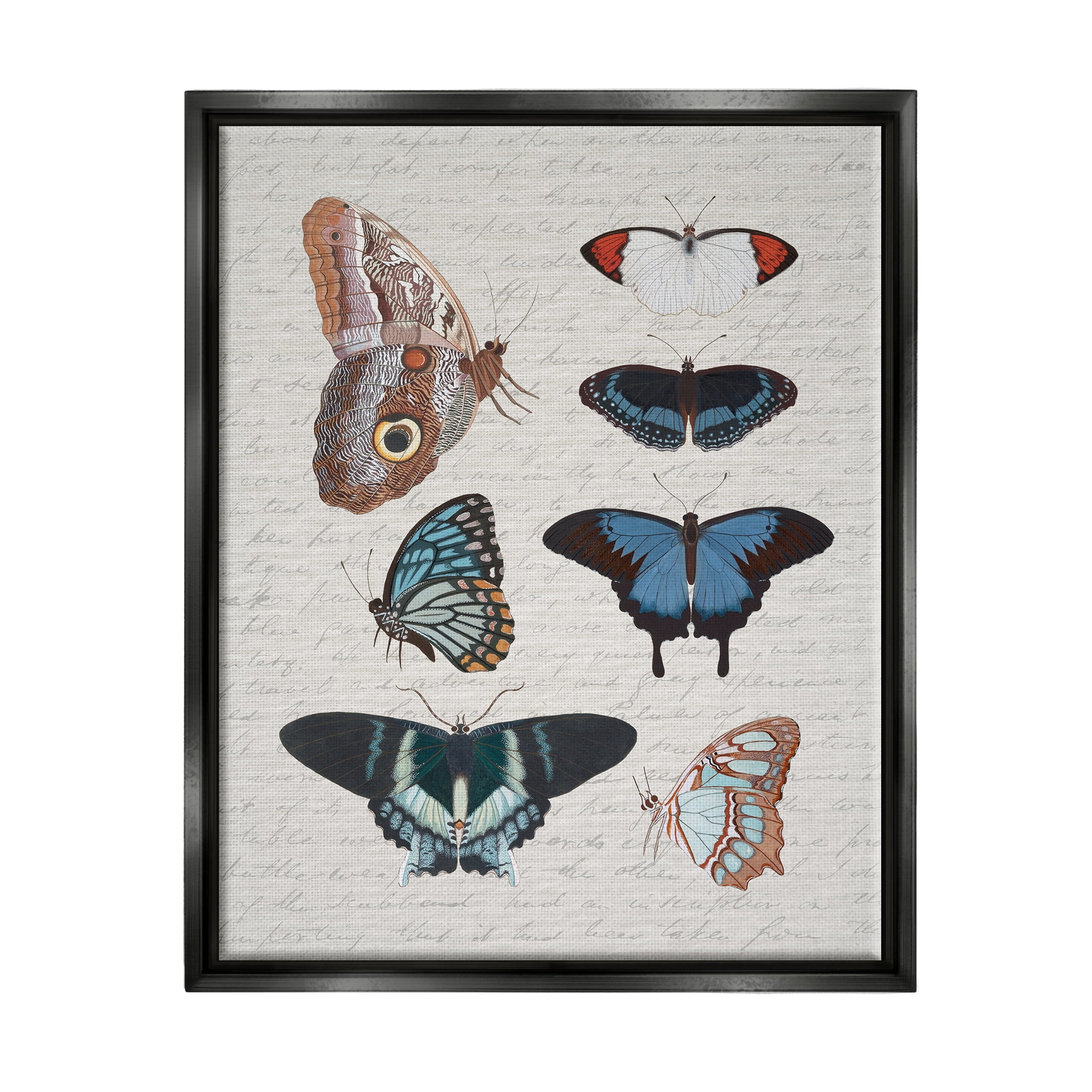 Stupell Industries Various Vintage Butterflies Animals & Insects Painting Black Floater Framed Canvas Art Print Wall Art, 25 x 31