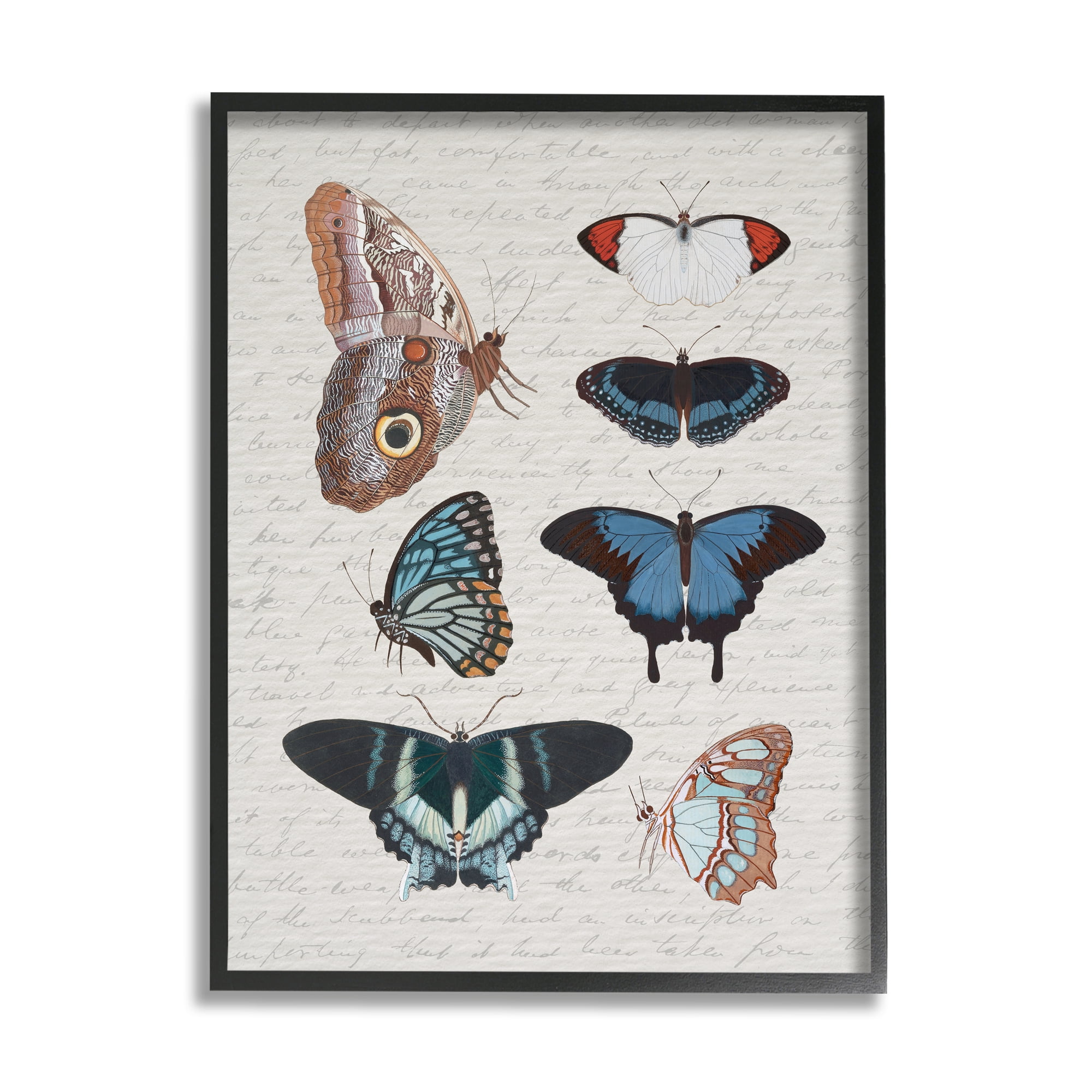Stupell Industries Various Vintage Butterflies Animals & Insects Painting Black Framed Art Print Wall Art, 24 x 30