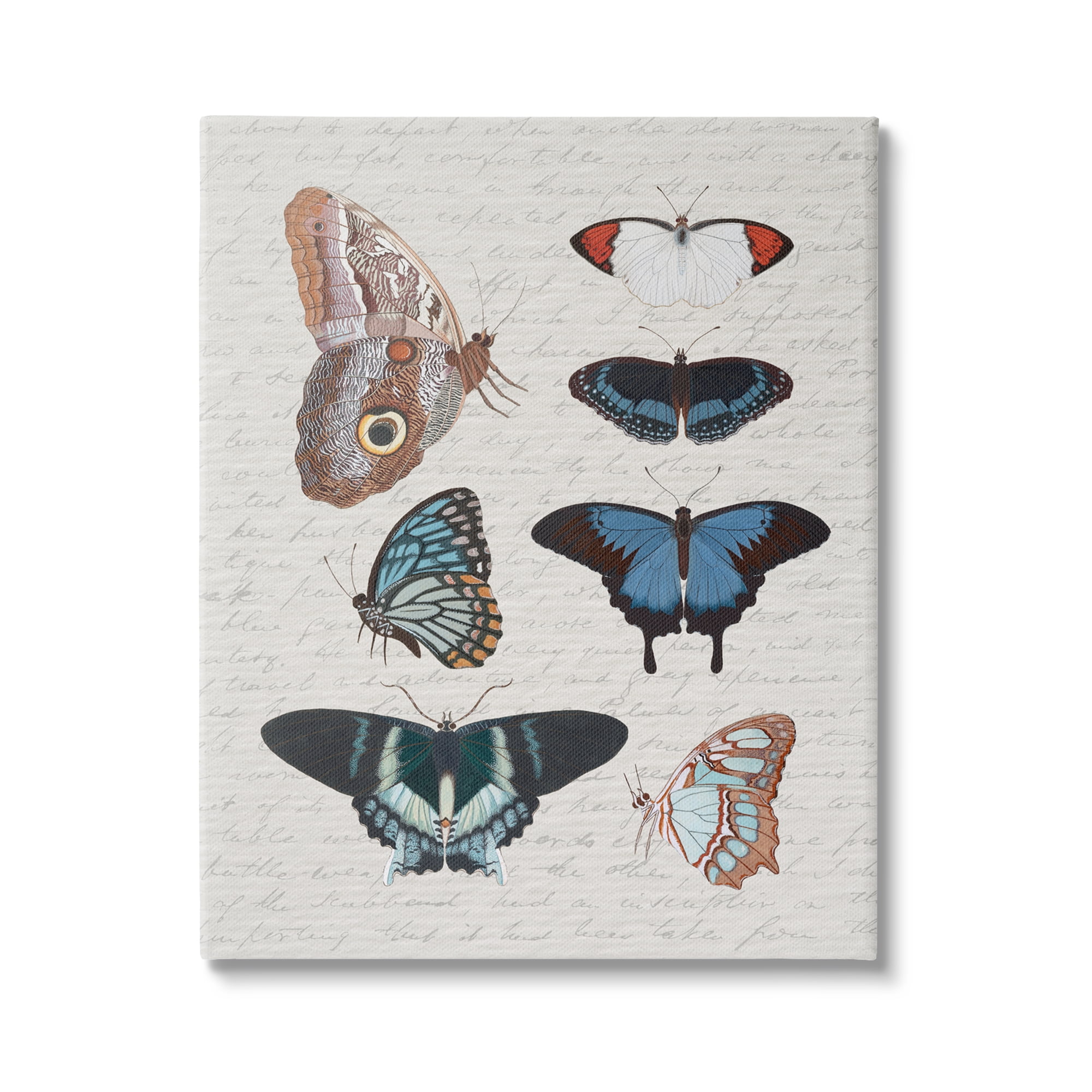 Stupell Industries Various Vintage Butterflies Animals & Insects Painting Gallery Wrapped Canvas Art Print Wall Art, 30 x 40
