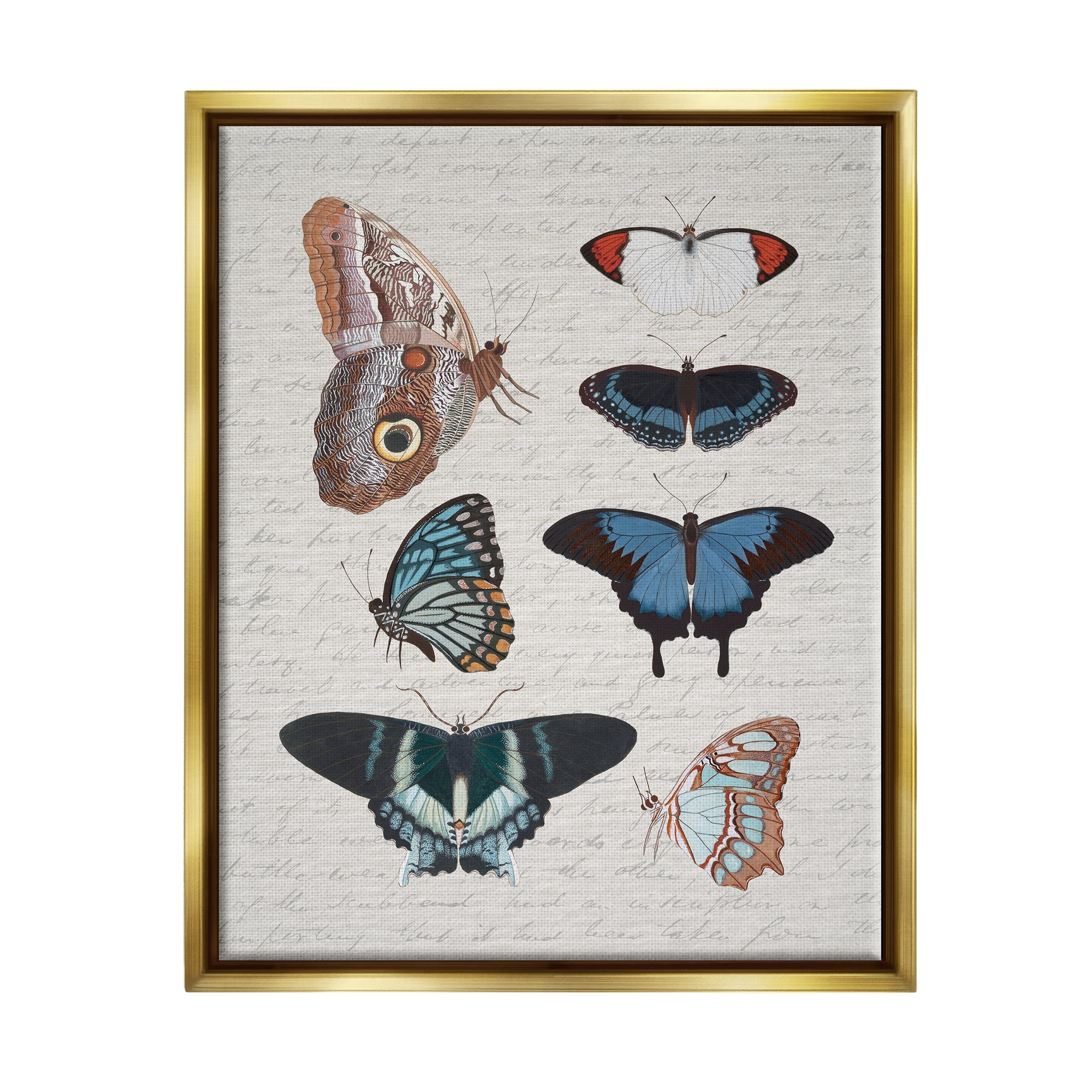 Stupell Industries Various Vintage Butterflies Animals & Insects Painting Gold Floater Framed Canvas Art Print Wall Art, 25 x 31