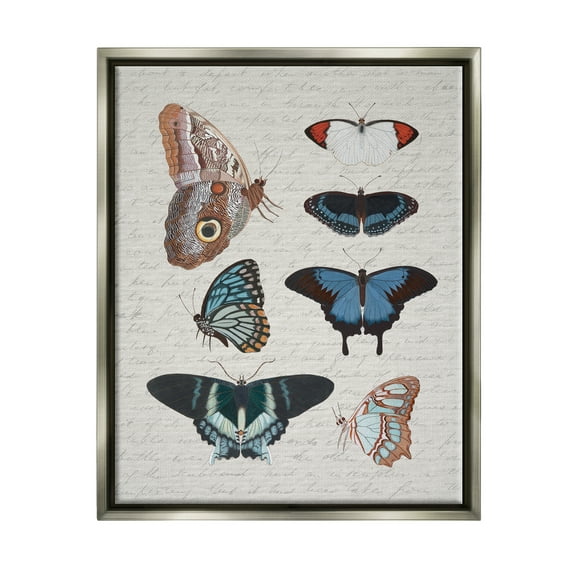 Stupell Industries Various Vintage Butterflies Animals & Insects Painting Gray Floater Framed Canvas Art Print Wall Art, 25 x 31