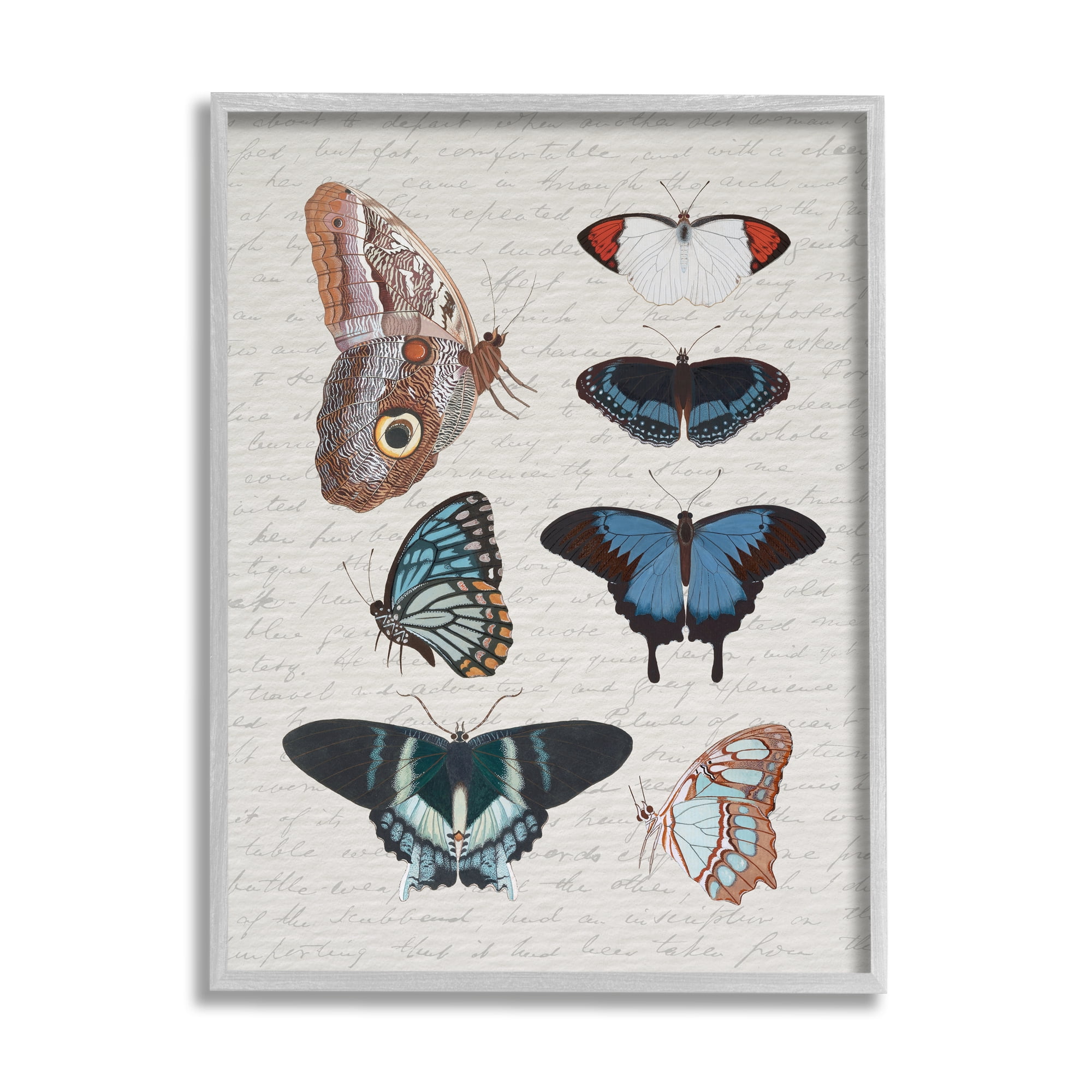 Stupell Industries Various Vintage Butterflies Animals & Insects Painting Gray Framed Art Print Wall Art, 11 x 14