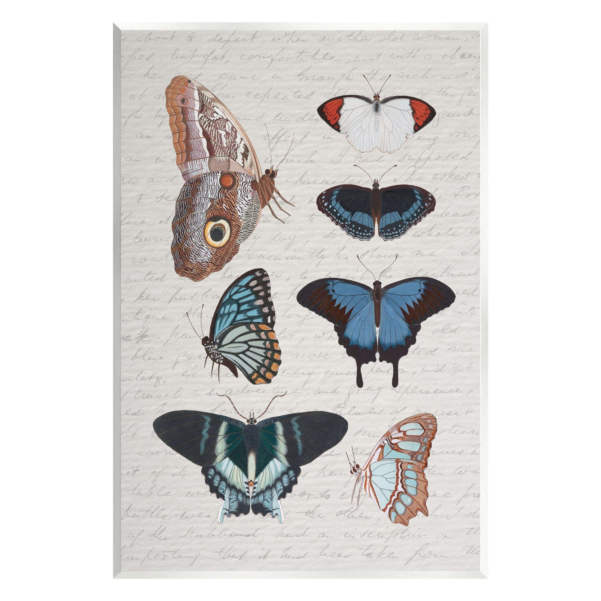 Stupell Industries Various Vintage Butterflies Animals & Insects Painting Unframed Art Print Wall Art, 13 x 19