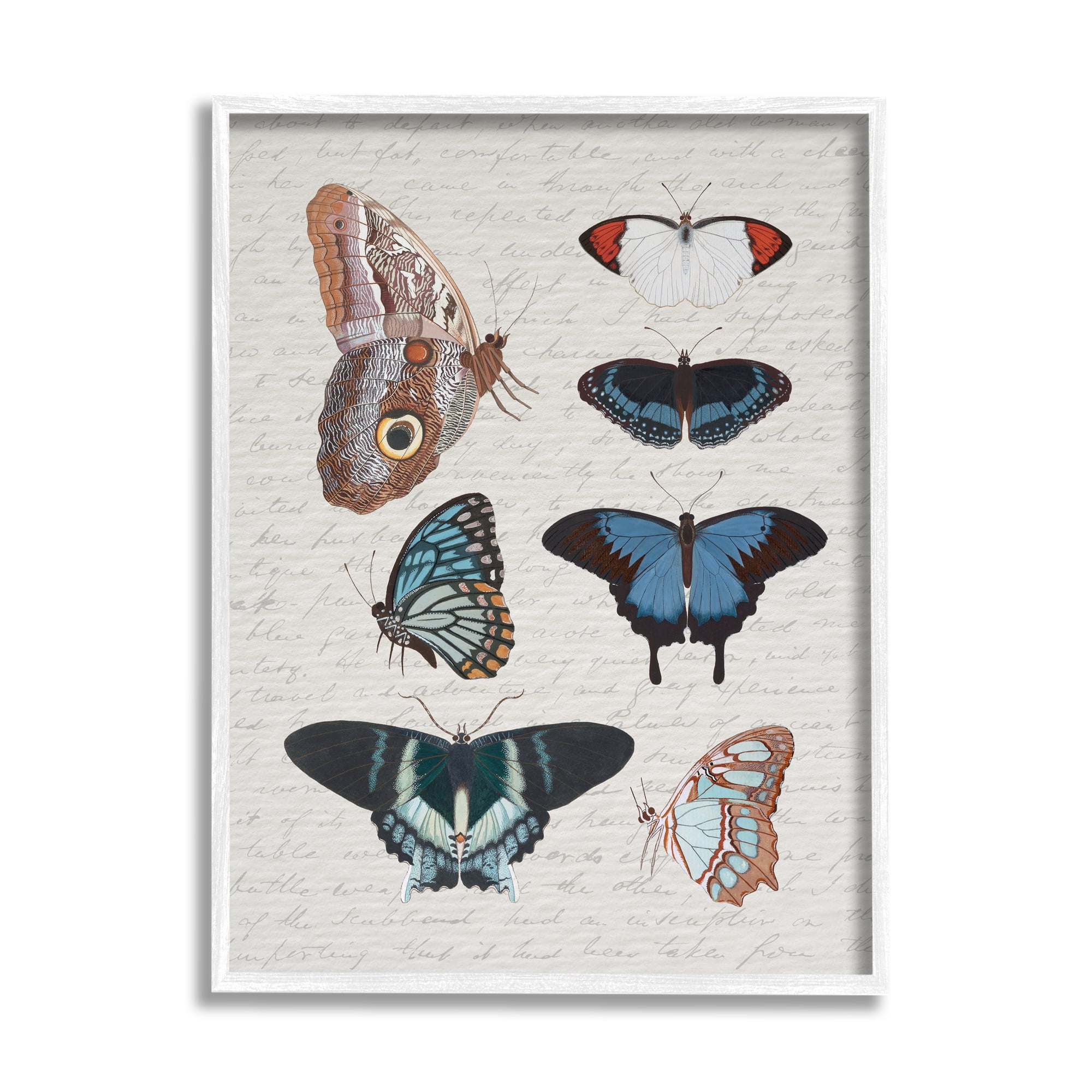 Stupell Industries Various Vintage Butterflies Animals & Insects Painting White Framed Art Print Wall Art, 16 x 20