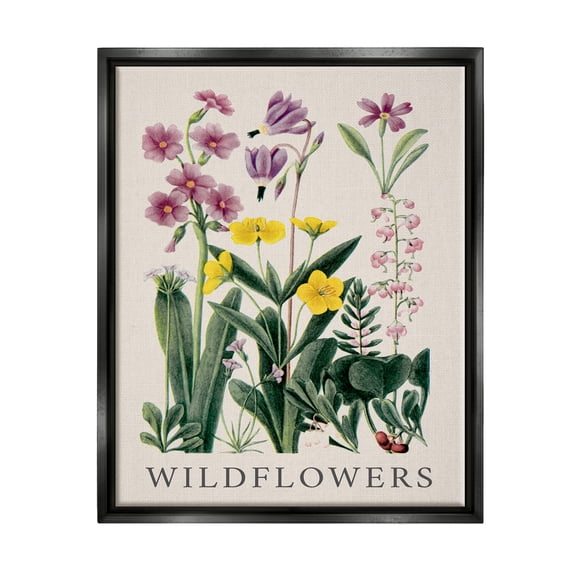 Stupell Industries Various Wildflowers Study Botanical & Floral Painting Black Floater Framed Canvas Art Print Wall Art, 17 x 21