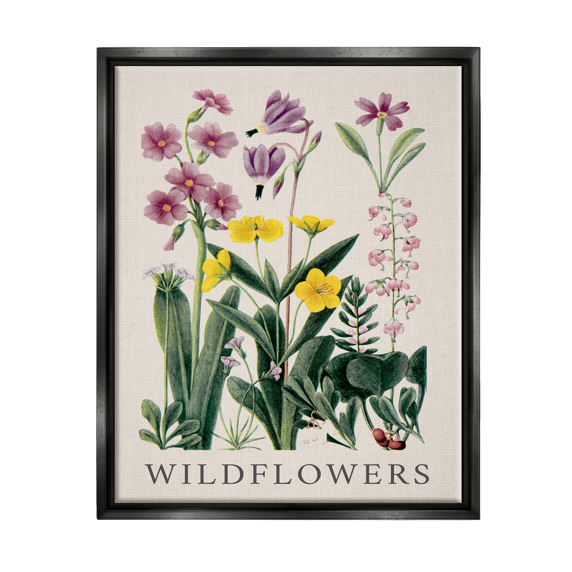 Stupell Industries Various Wildflowers Study Botanical & Floral Painting Black Floater Framed Canvas Art Print Wall Art, 25 x 31