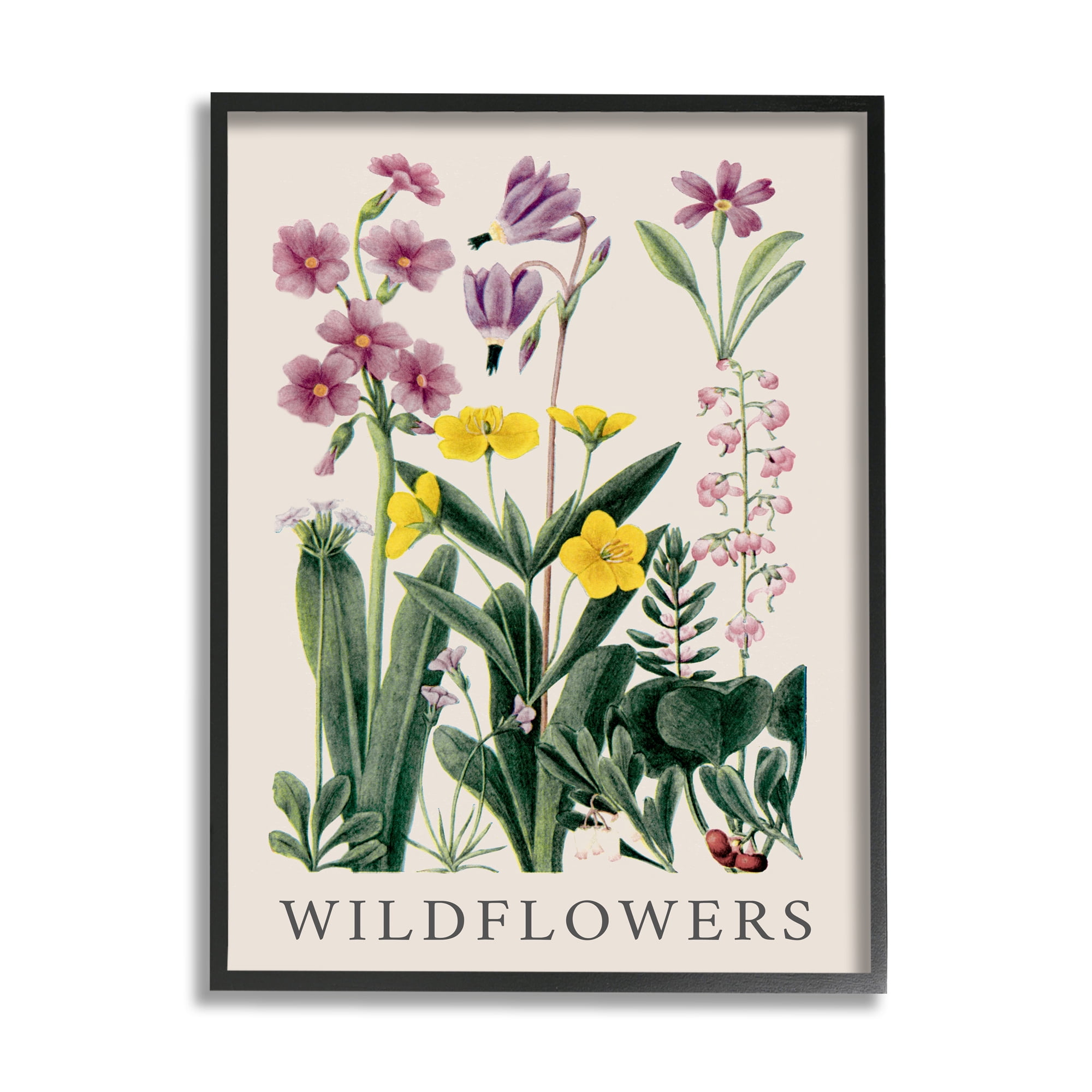 Stupell Industries Various Wildflowers Study Botanical & Floral Painting Black Framed Art Print Wall Art, 24 x 30