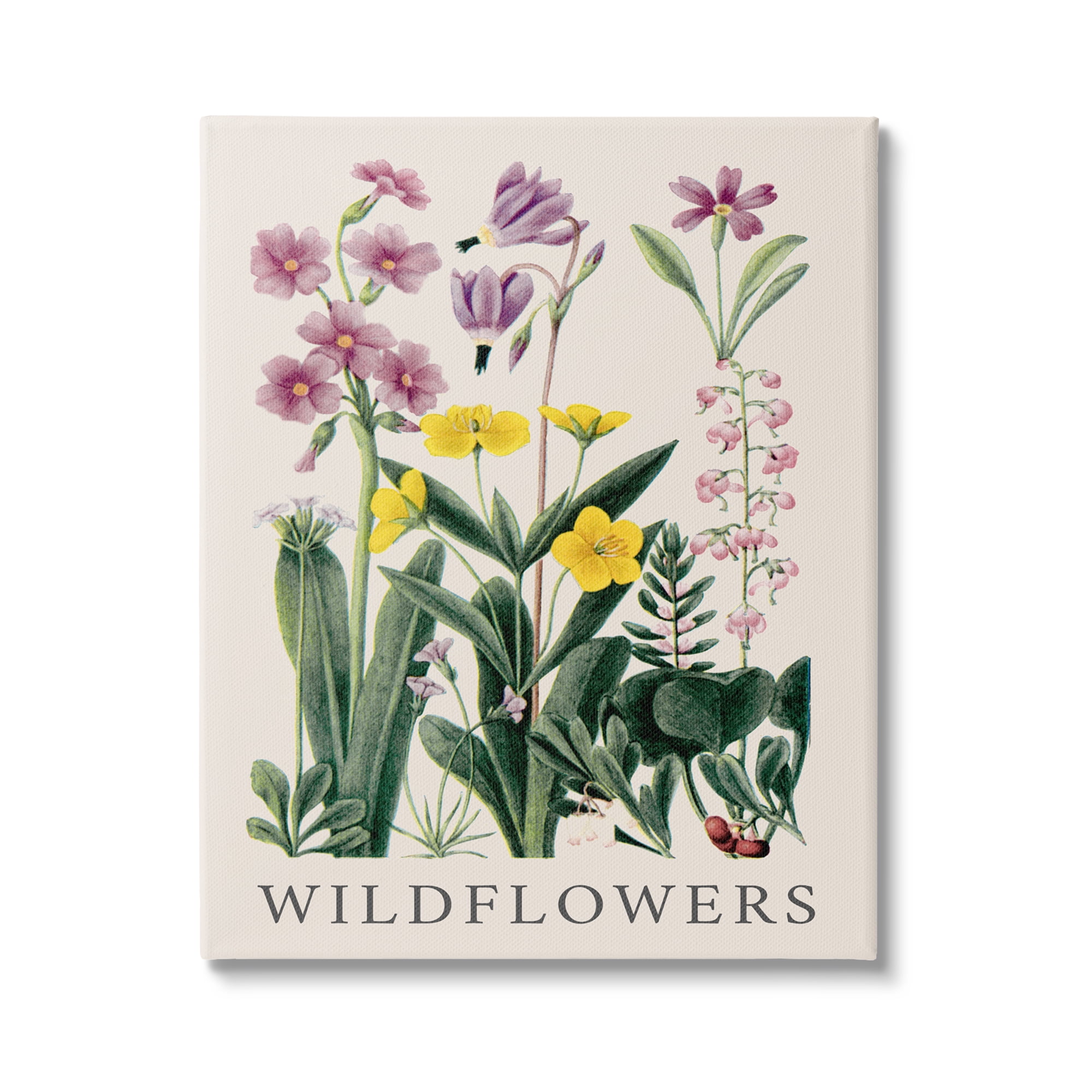 Stupell Industries Various Wildflowers Study Botanical & Floral Painting Gallery Wrapped Canvas Art Print Wall Art, 36 x 48