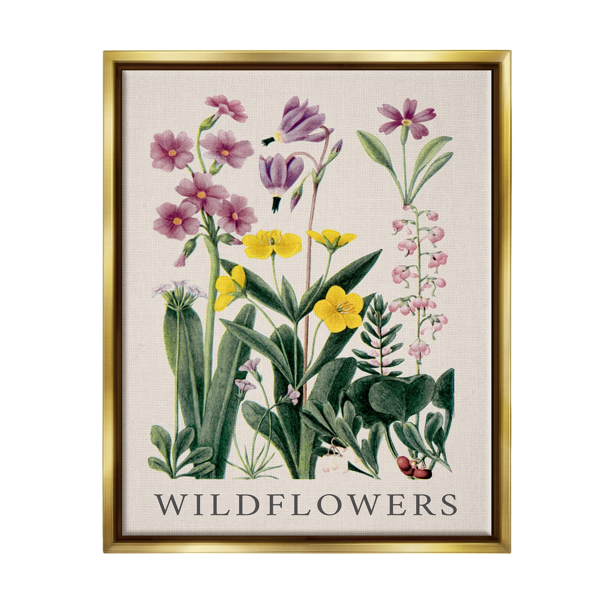 Stupell Industries Various Wildflowers Study Botanical & Floral Painting Gold Floater Framed Canvas Art Print Wall Art, 17 x 21