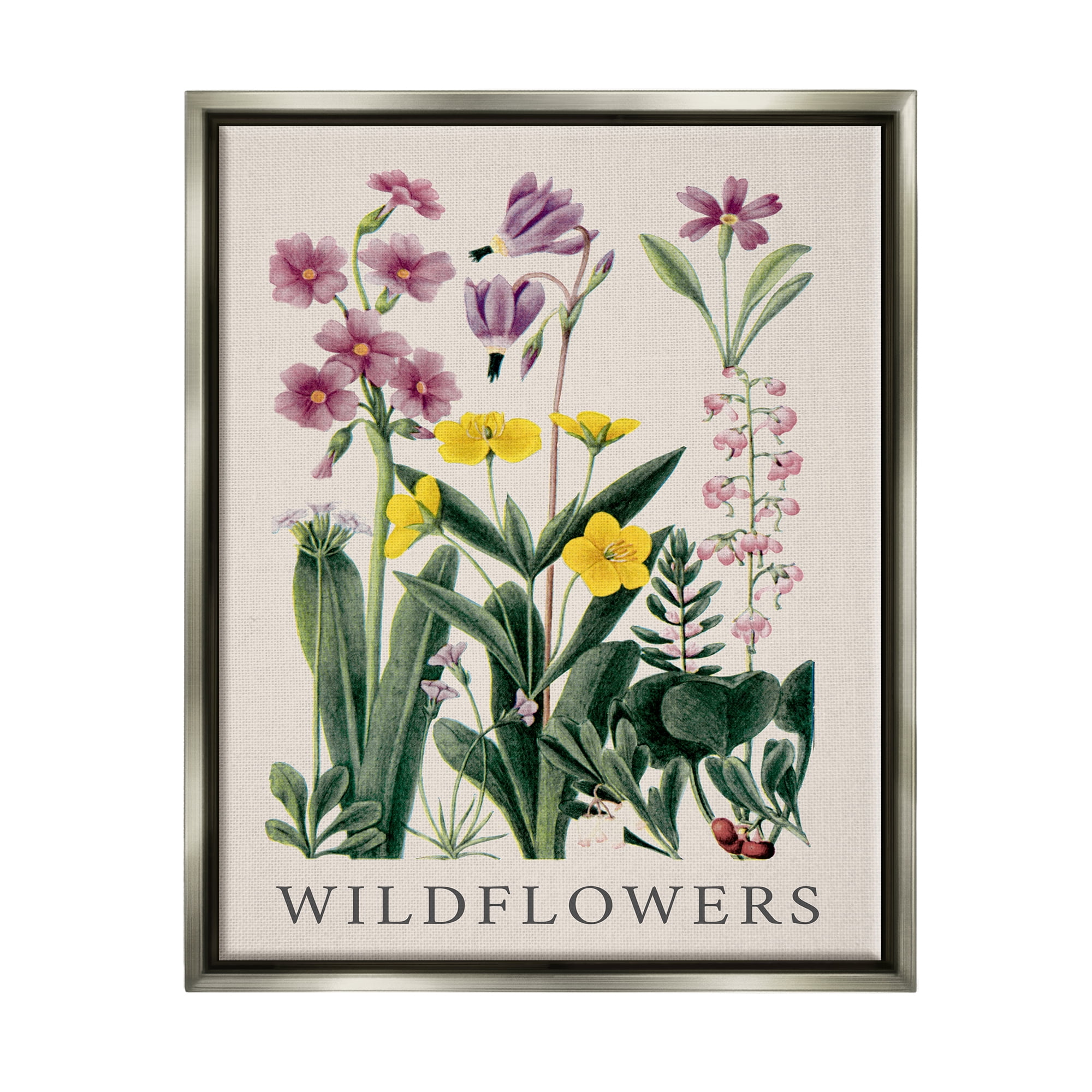 Stupell Industries Various Wildflowers Study Botanical & Floral Painting Gray Floater Framed Canvas Art Print Wall Art, 17 x 21