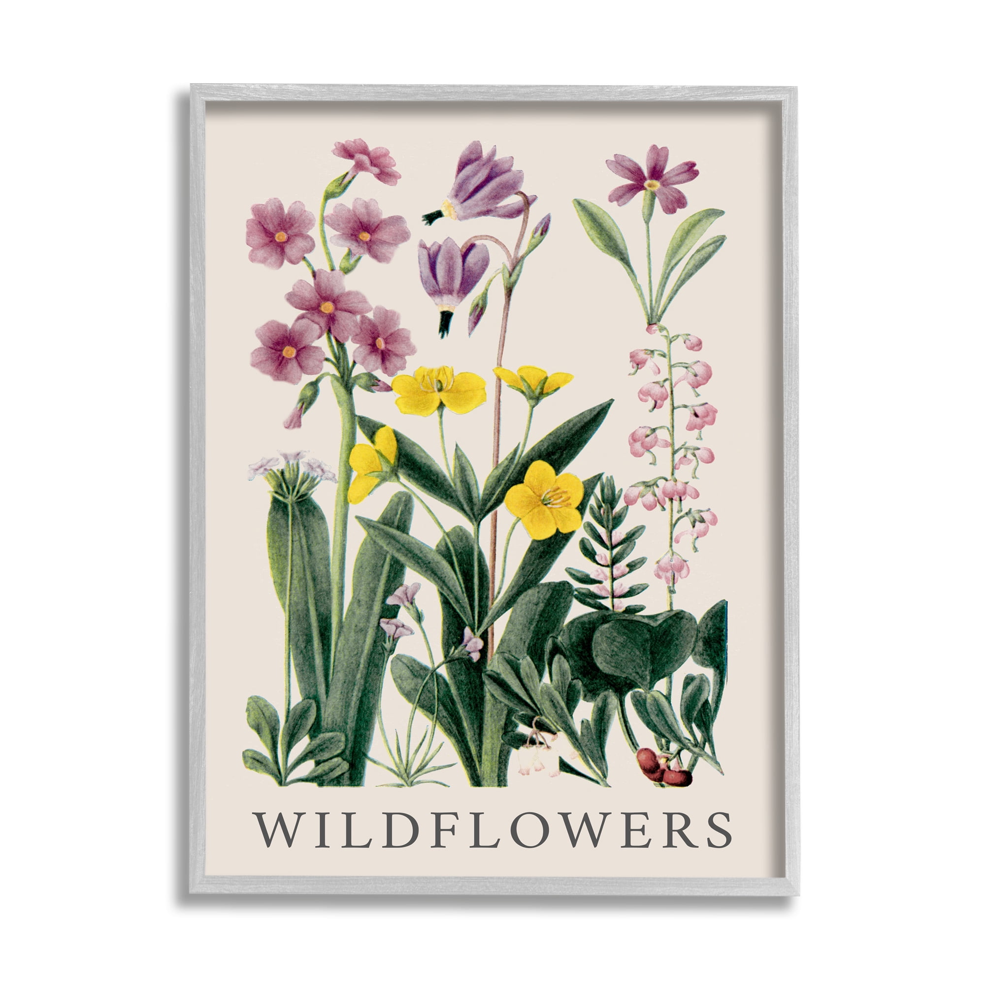 Stupell Industries Various Wildflowers Study Botanical & Floral Painting Gray Framed Art Print Wall Art, 24 x 30