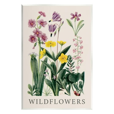 Stupell Industries Various Wildflowers Study Botanical & Floral Painting Unframed Art Print Wall Art, 10 x 15