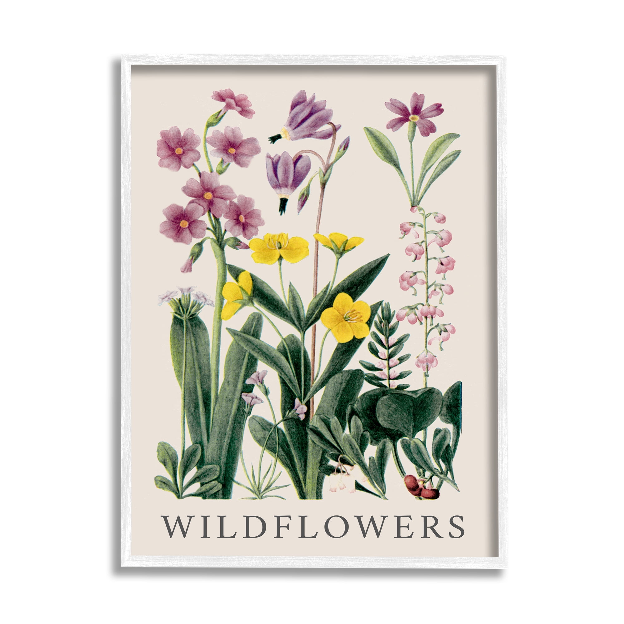 Stupell Industries Various Wildflowers Study Botanical & Floral Painting White Framed Art Print Wall Art, 24 x 30