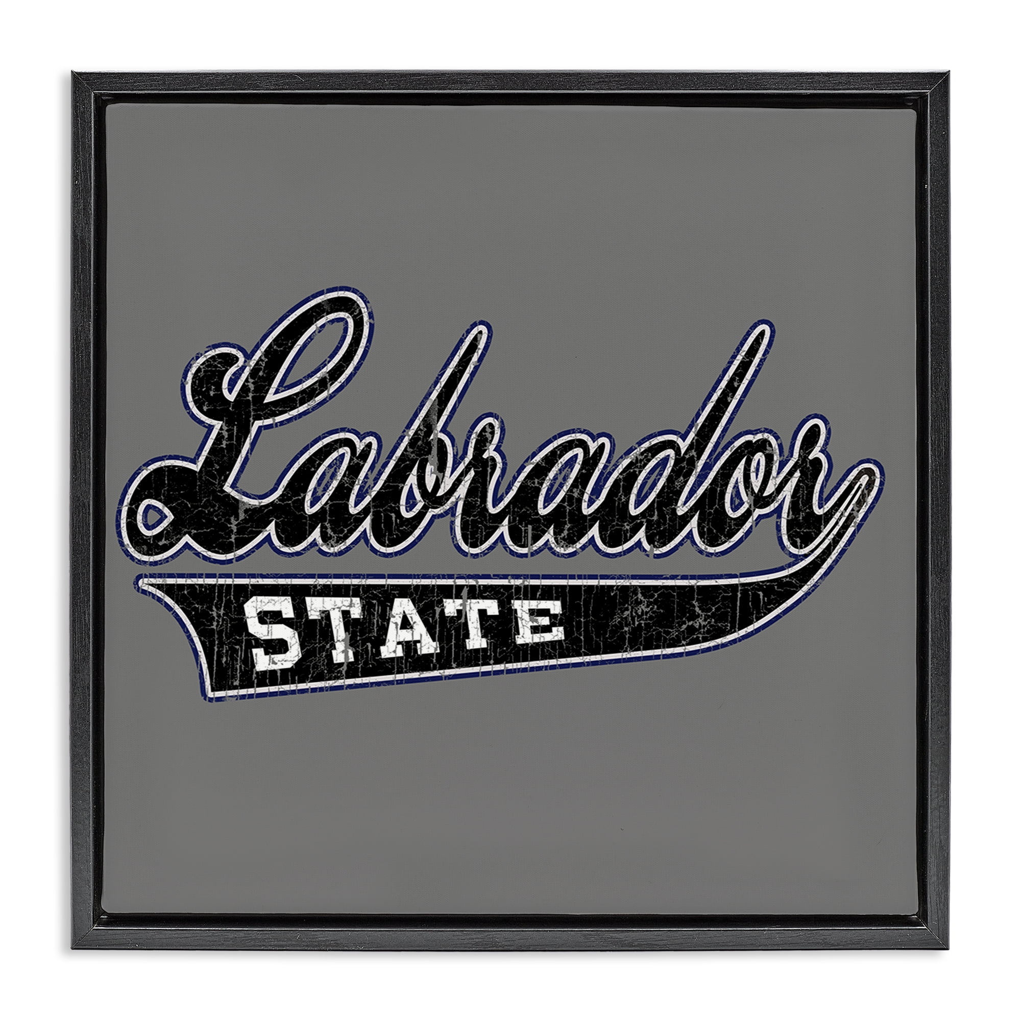Stupell Industries Varsity Labrador State College Novelty & Humor Painting Black Floater Framed Canvas Art Print Wall Art, 18 x 18
