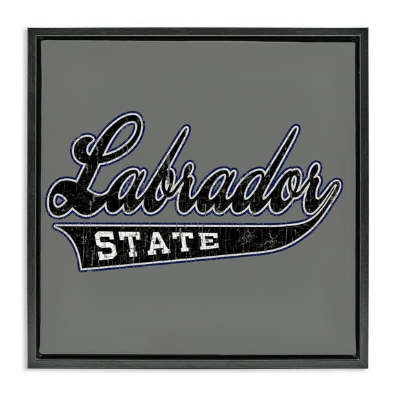 Stupell Industries Varsity Labrador State College Novelty & Humor Painting Black Floater Framed Canvas Art Print Wall Art, 18 x 18