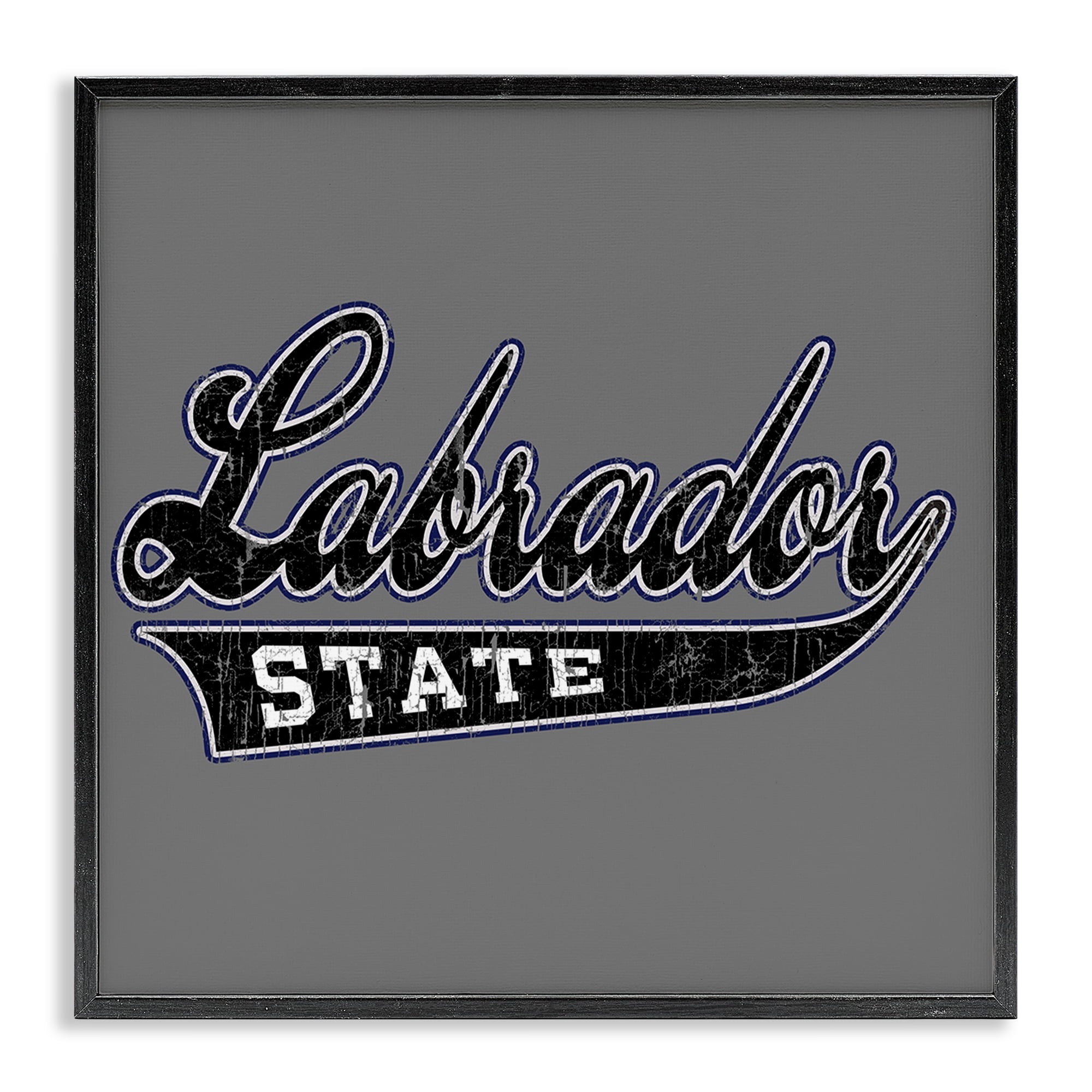 Stupell Industries Varsity Labrador State College Novelty & Humor Painting Black Framed Art Print Wall Art, 12 x 12