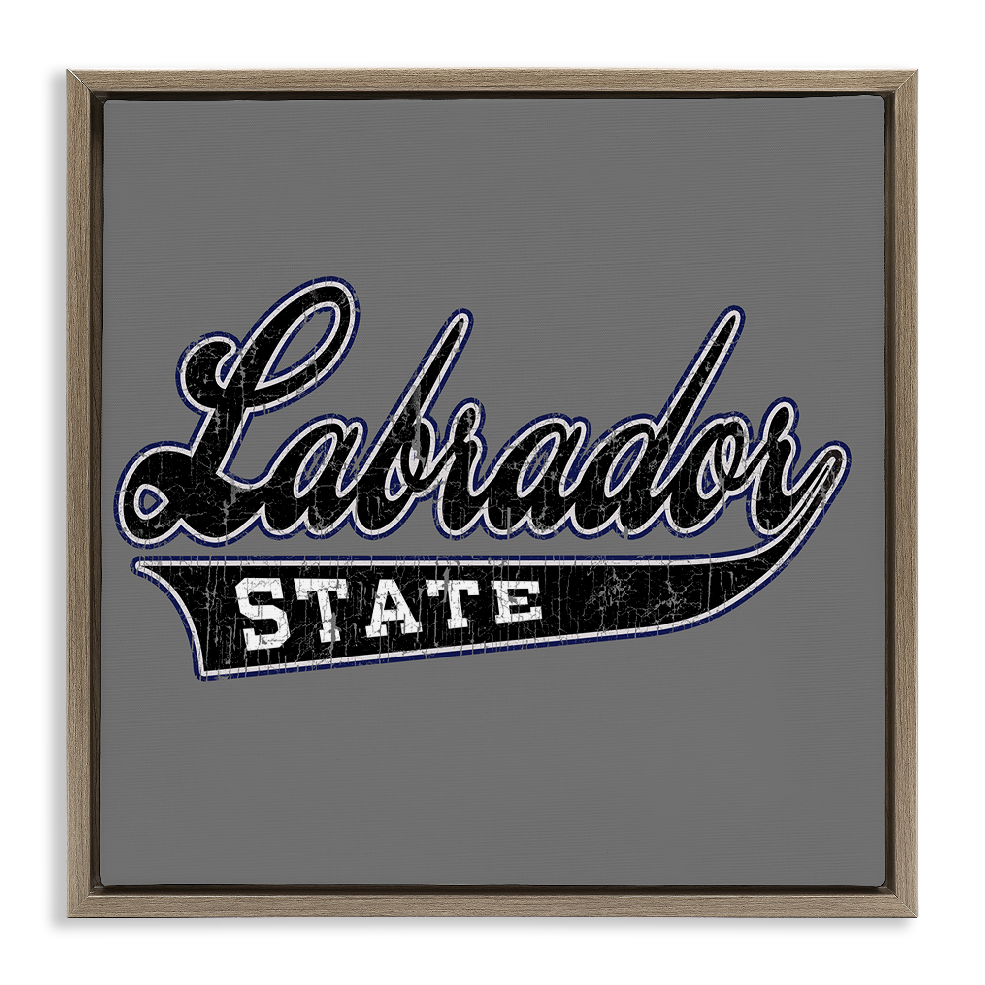 Stupell Industries Varsity Labrador State College Novelty & Humor Painting Brown Floater Framed Canvas Art Print Wall Art, 18 x 18