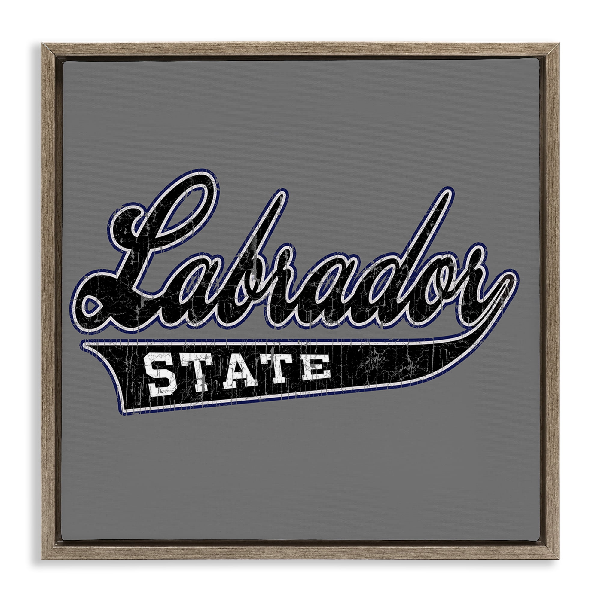 Stupell Industries Varsity Labrador State College Novelty & Humor Painting Brown Floater Framed Canvas Art Print Wall Art, 25 x 25