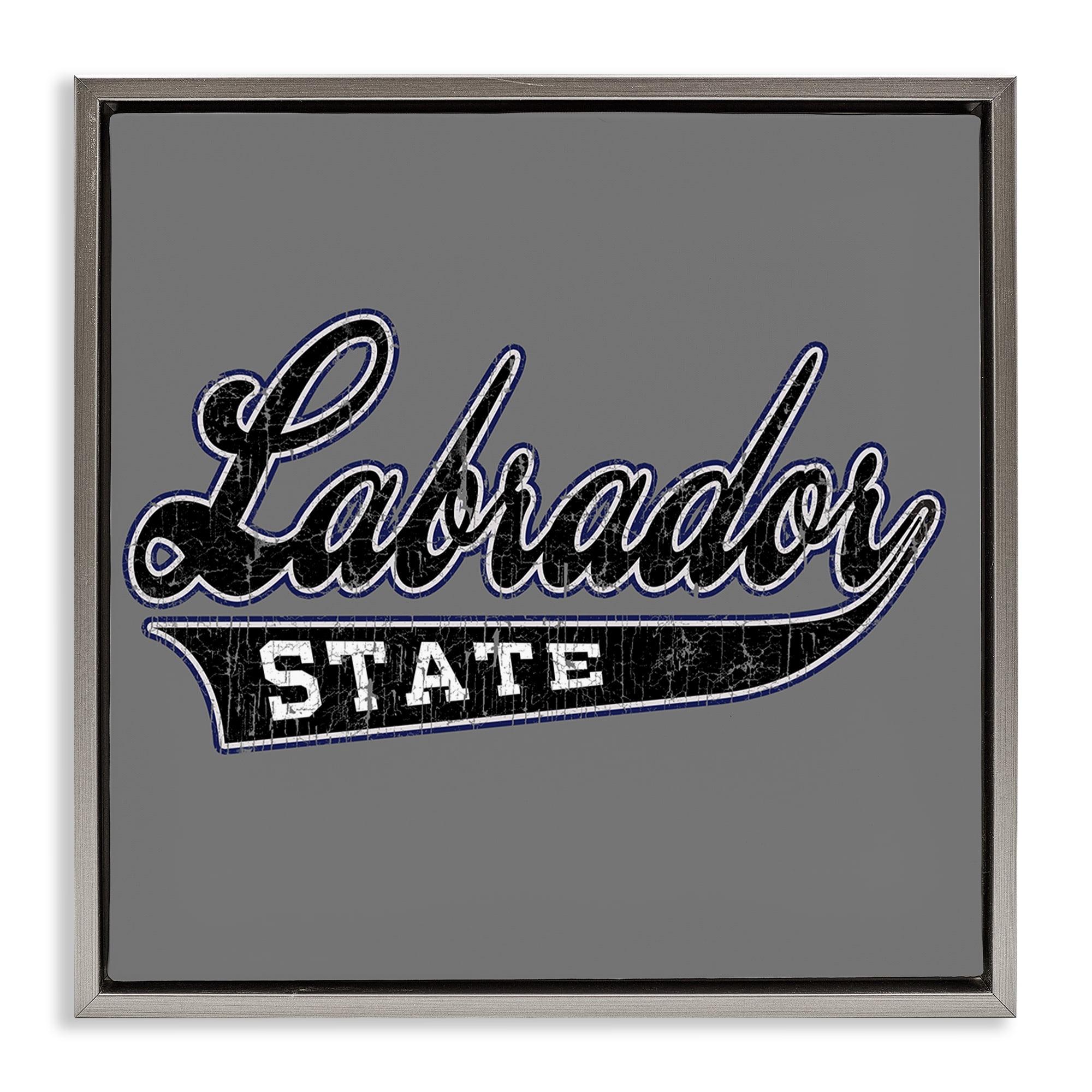 Stupell Industries Varsity Labrador State College Novelty & Humor Painting Gray Floater Framed Canvas Art Print Wall Art, 18 x 18