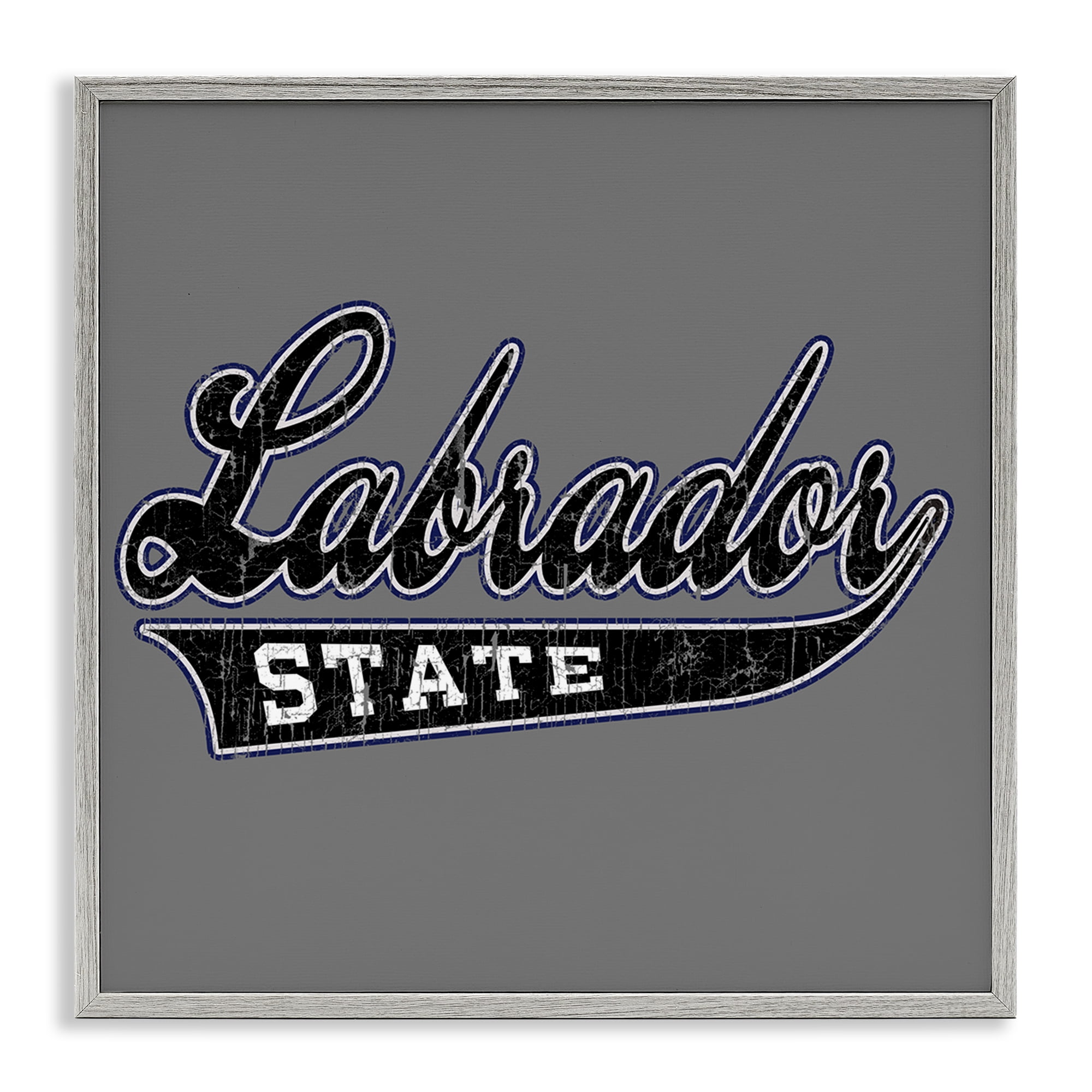 Stupell Industries Varsity Labrador State College Novelty & Humor Painting Gray Framed Art Print Wall Art, 24 x 24