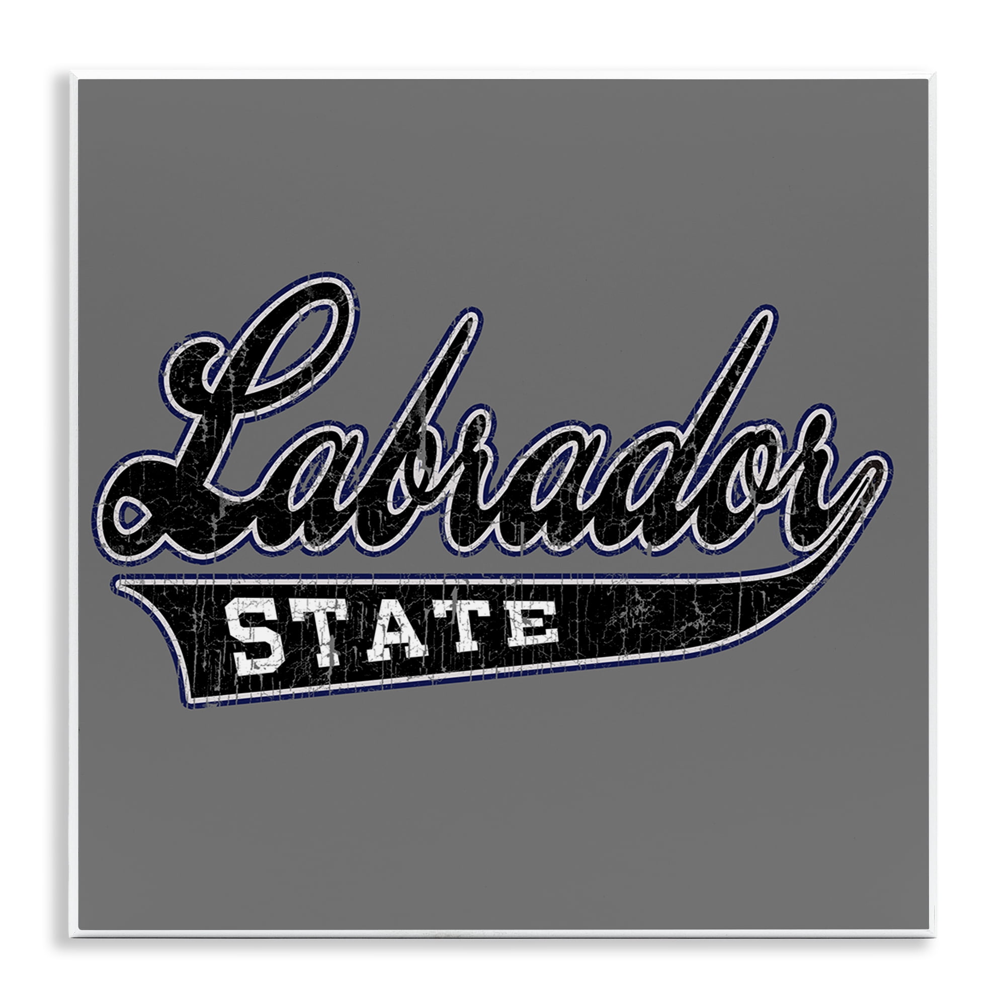 Stupell Industries Varsity Labrador State College Novelty & Humor Painting Unframed Art Print Wall Art, 12 x 12