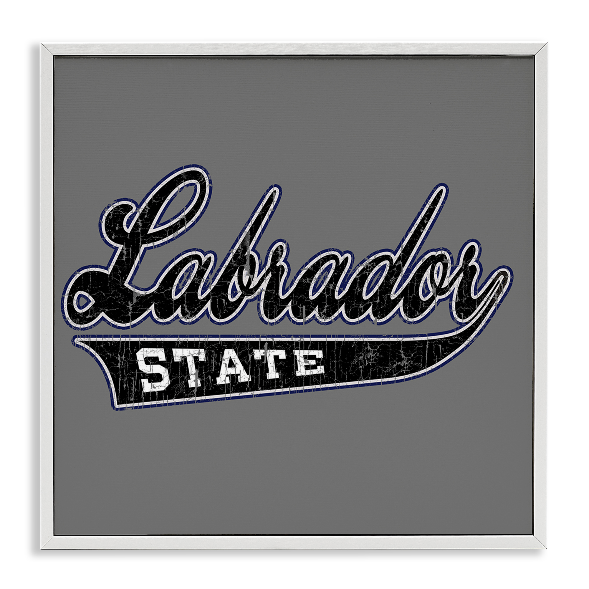 Stupell Industries Varsity Labrador State College Novelty & Humor Painting White Framed Art Print Wall Art, 12 x 12