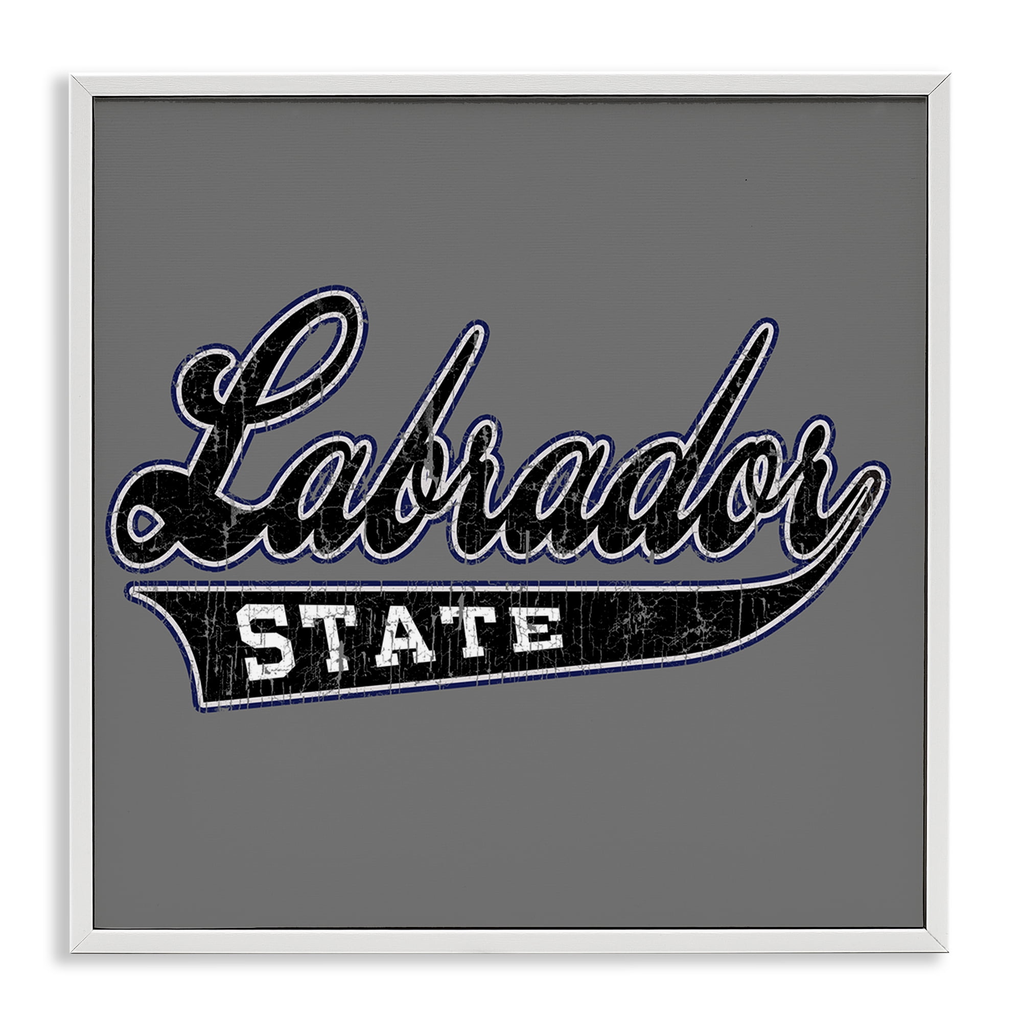 Stupell Industries Varsity Labrador State College Novelty & Humor Painting White Framed Art Print Wall Art, 17 x 17