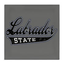 Stupell Industries Varsity Labrador State College Novelty & Humor Painting Wrapped Canvas Art Print Wall Art, 17 x 17