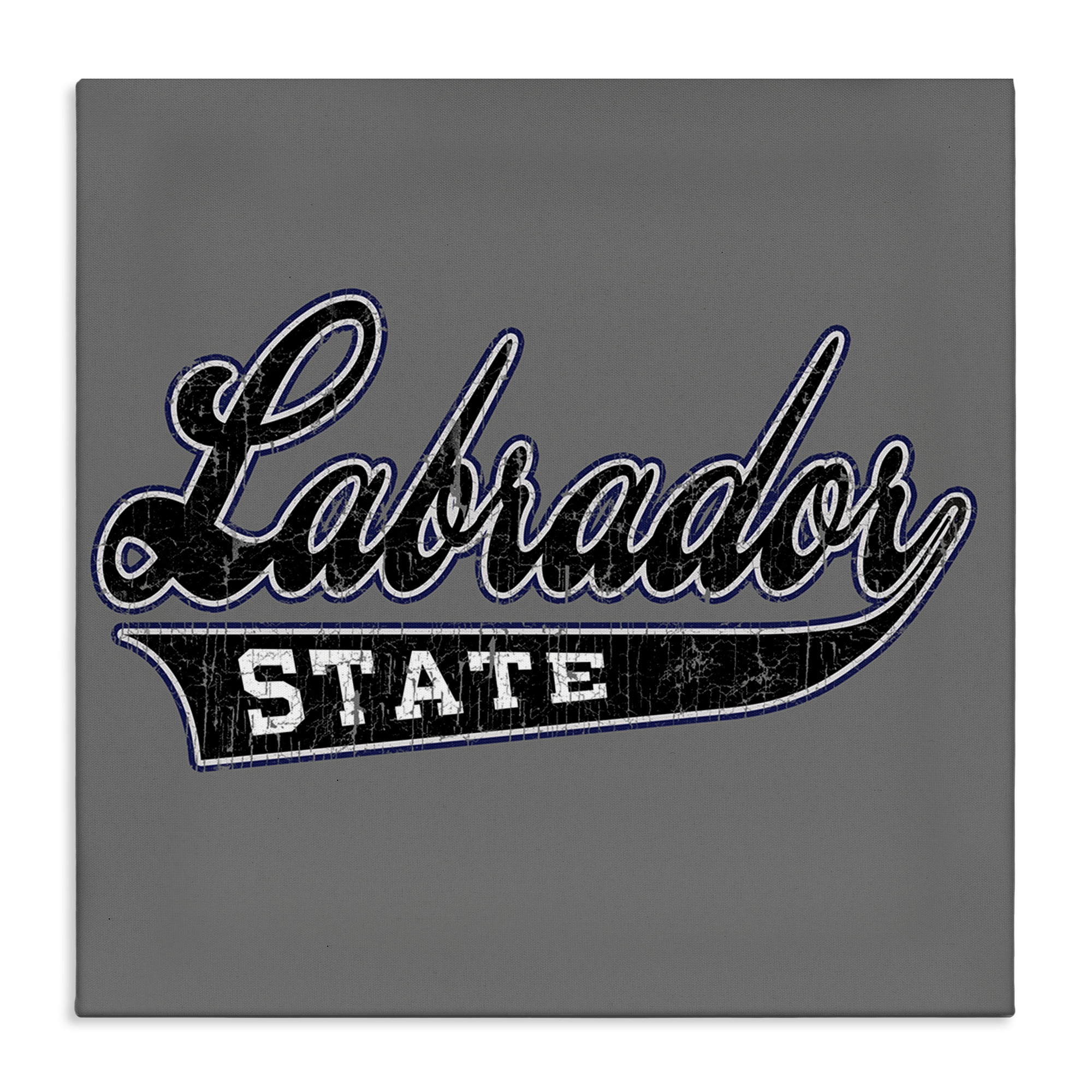 Stupell Industries Varsity Labrador State College Novelty & Humor Painting Wrapped Canvas Art Print Wall Art, 24 x 24