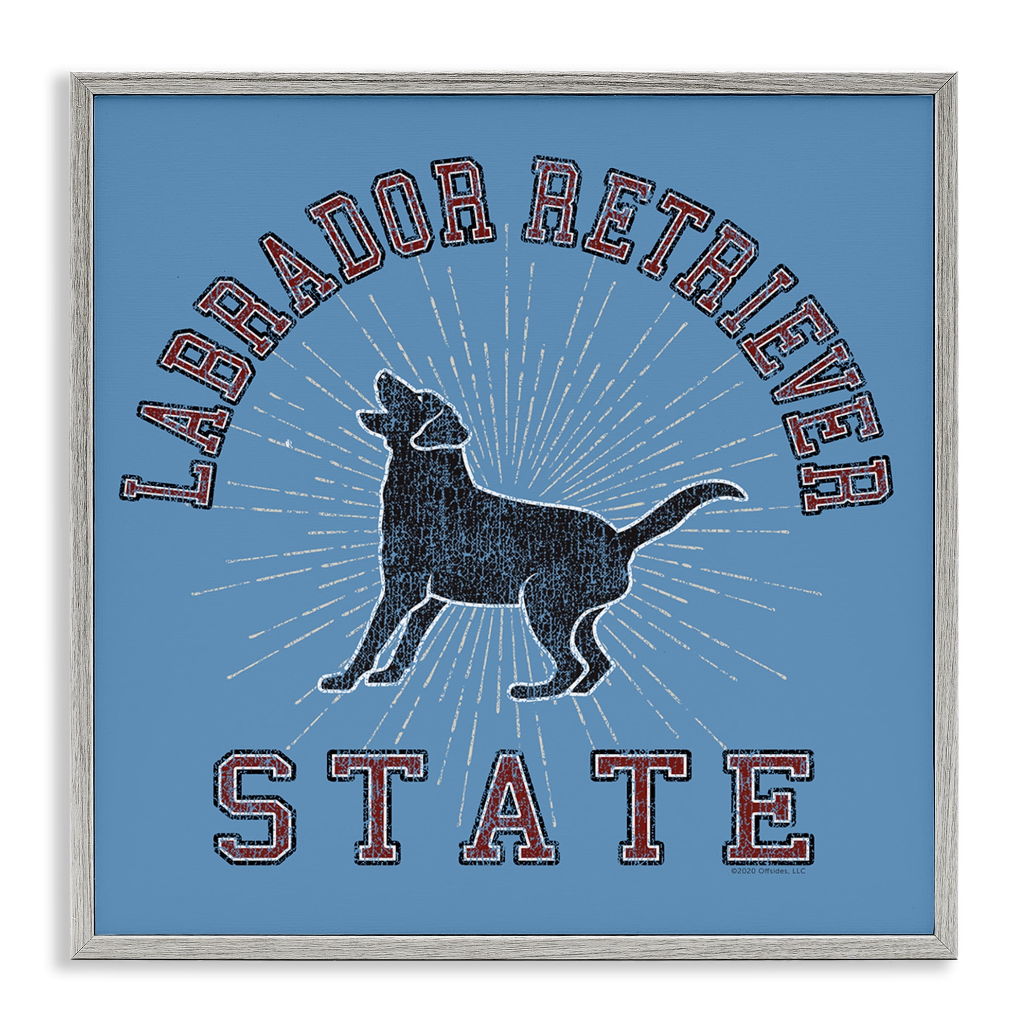 Stupell Industries Varsity Labrador State Novelty & Humor Painting Gray Framed Art Print Wall Art, 12 x 12