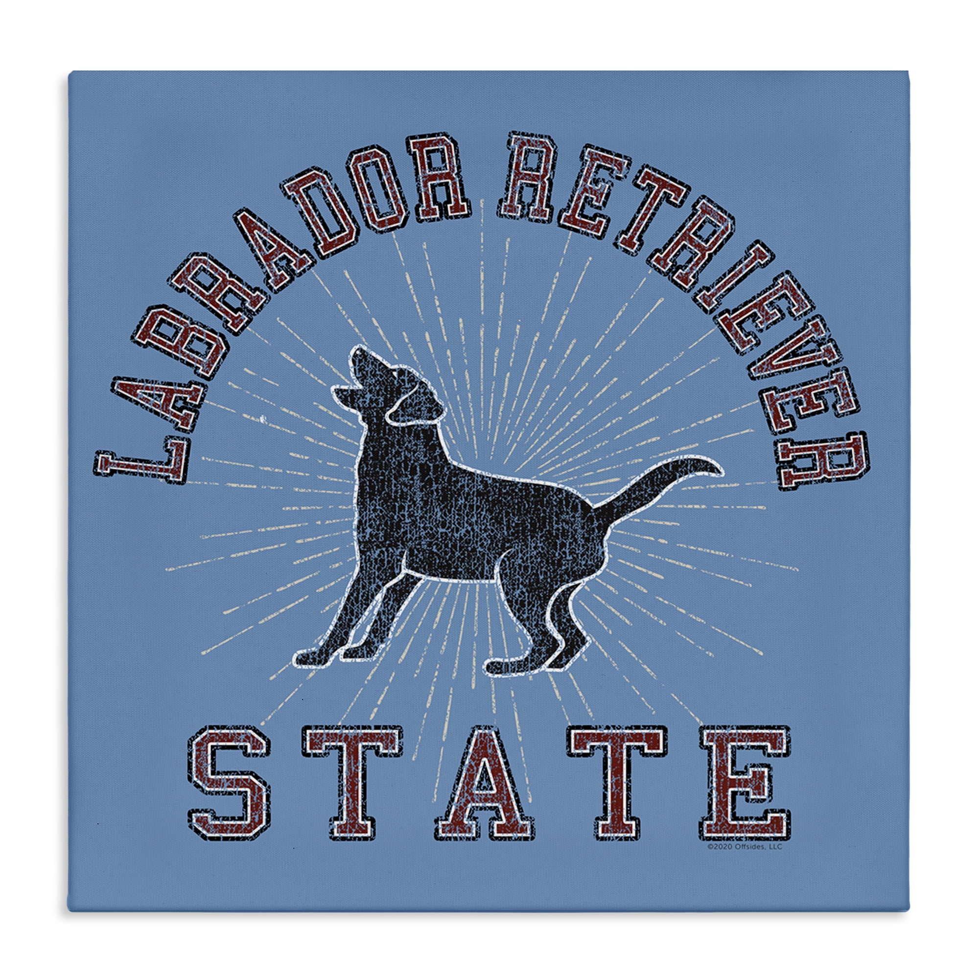Stupell Industries Varsity Labrador State Novelty & Humor Painting Wrapped Canvas Art Print Wall Art, 17 x 17