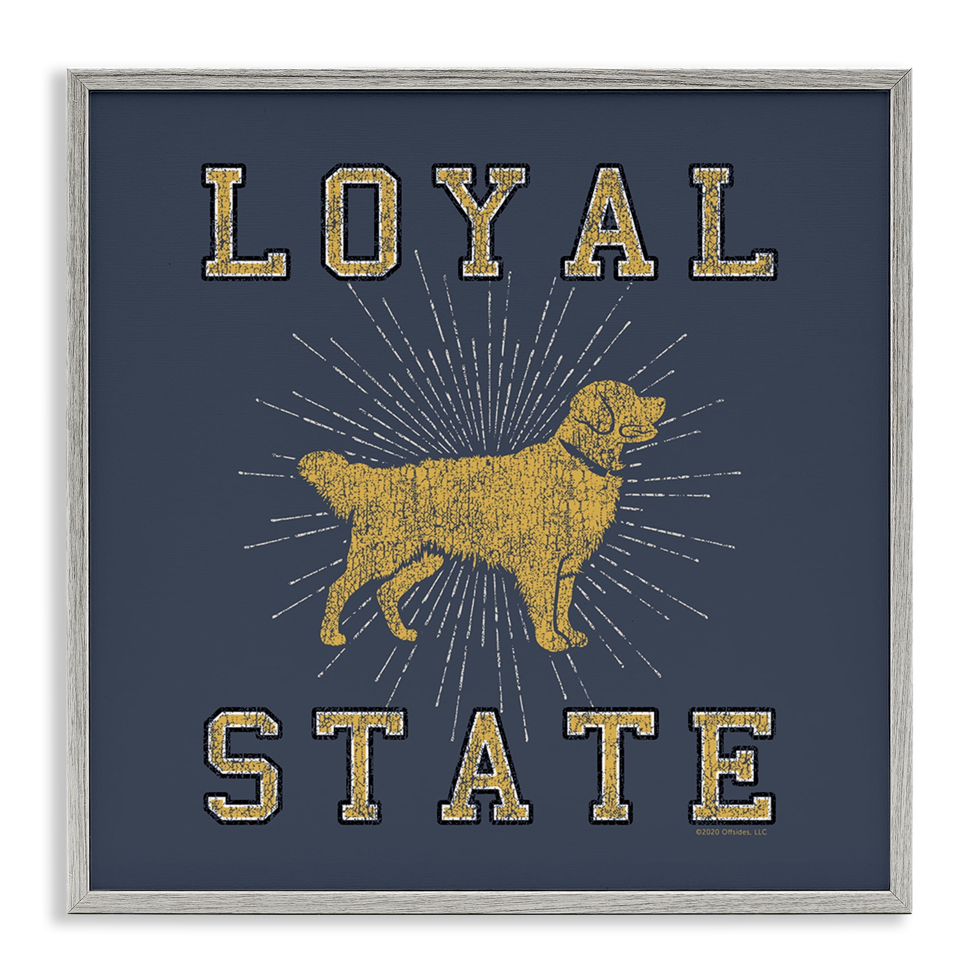 Stupell Industries Varsity Loyal State Novelty & Humor Painting Gray Framed Art Print Wall Art, 24 x 24
