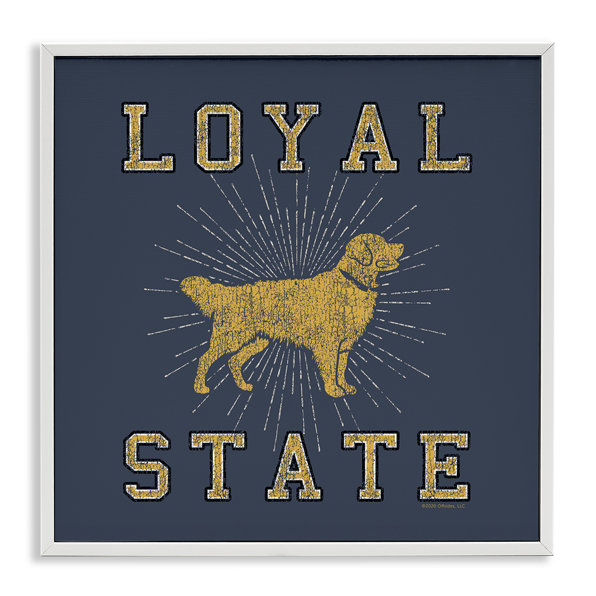 Stupell Industries Varsity Loyal State Novelty & Humor Painting White Framed Art Print Wall Art, 12 x 12